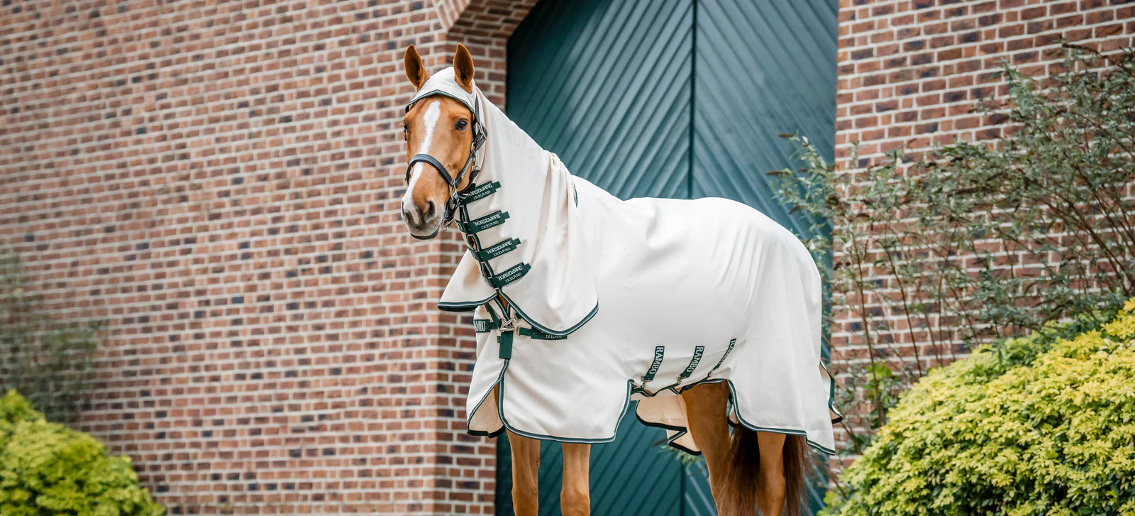 L'excellence équestre à prix réduit