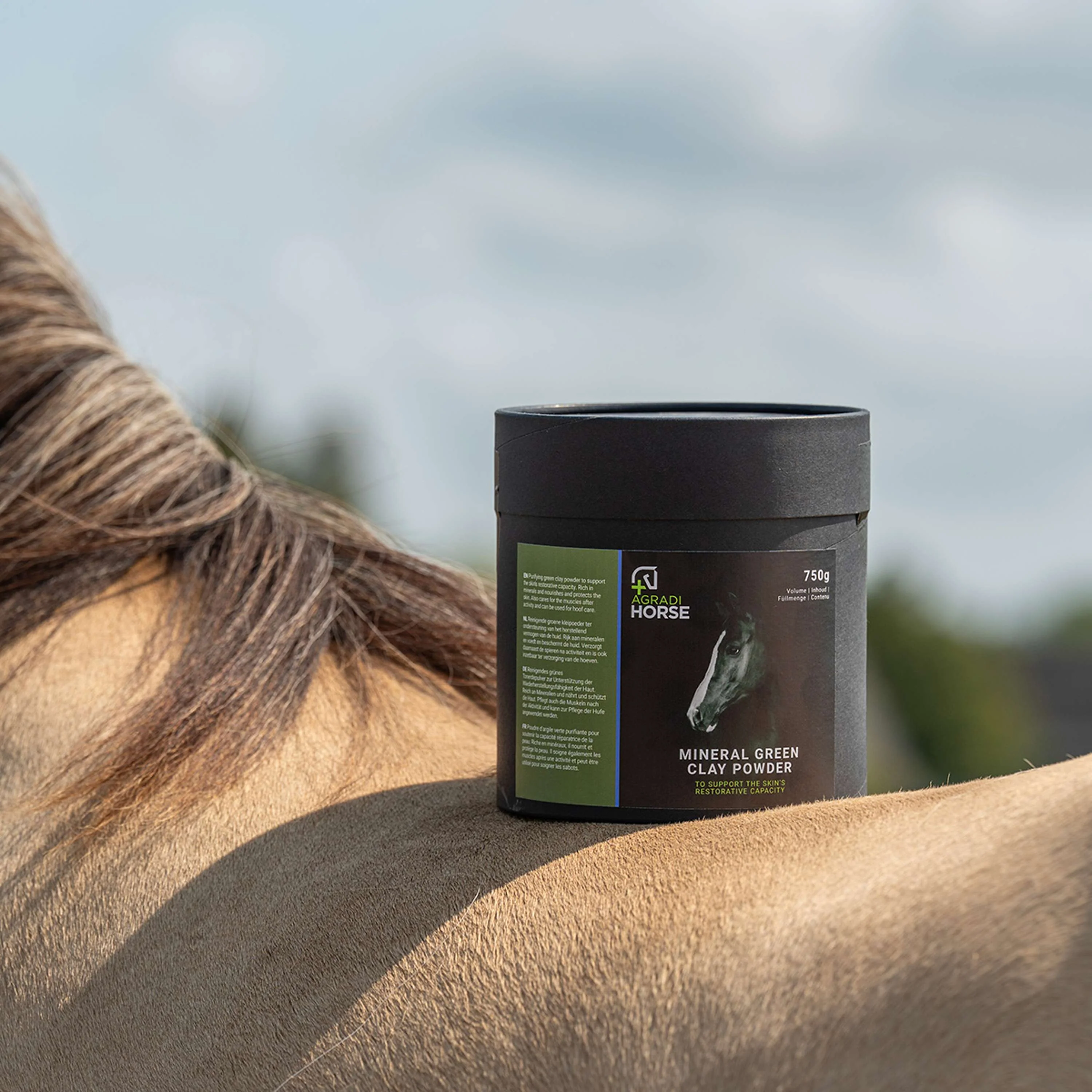 Agradi Horse Argile Verte en Poudre - Image 3