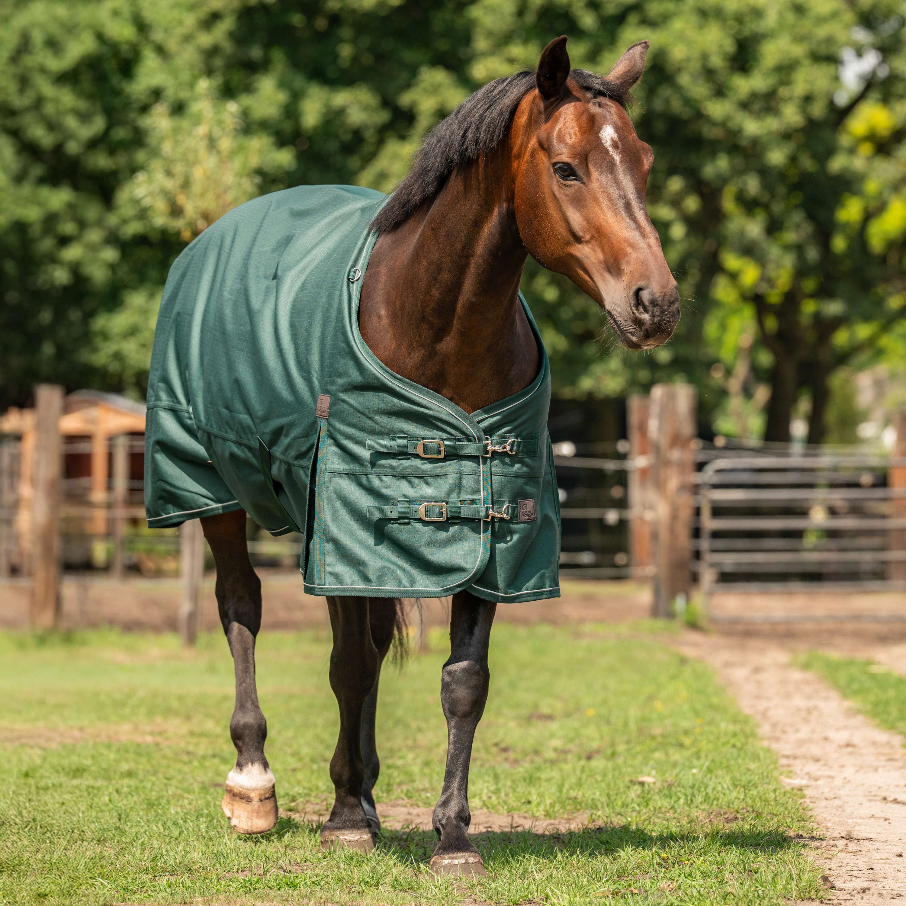 Agradi Horse Couverture d'Extérieur 1200D 0gr Bande Réfléchissante Vert - Image 2