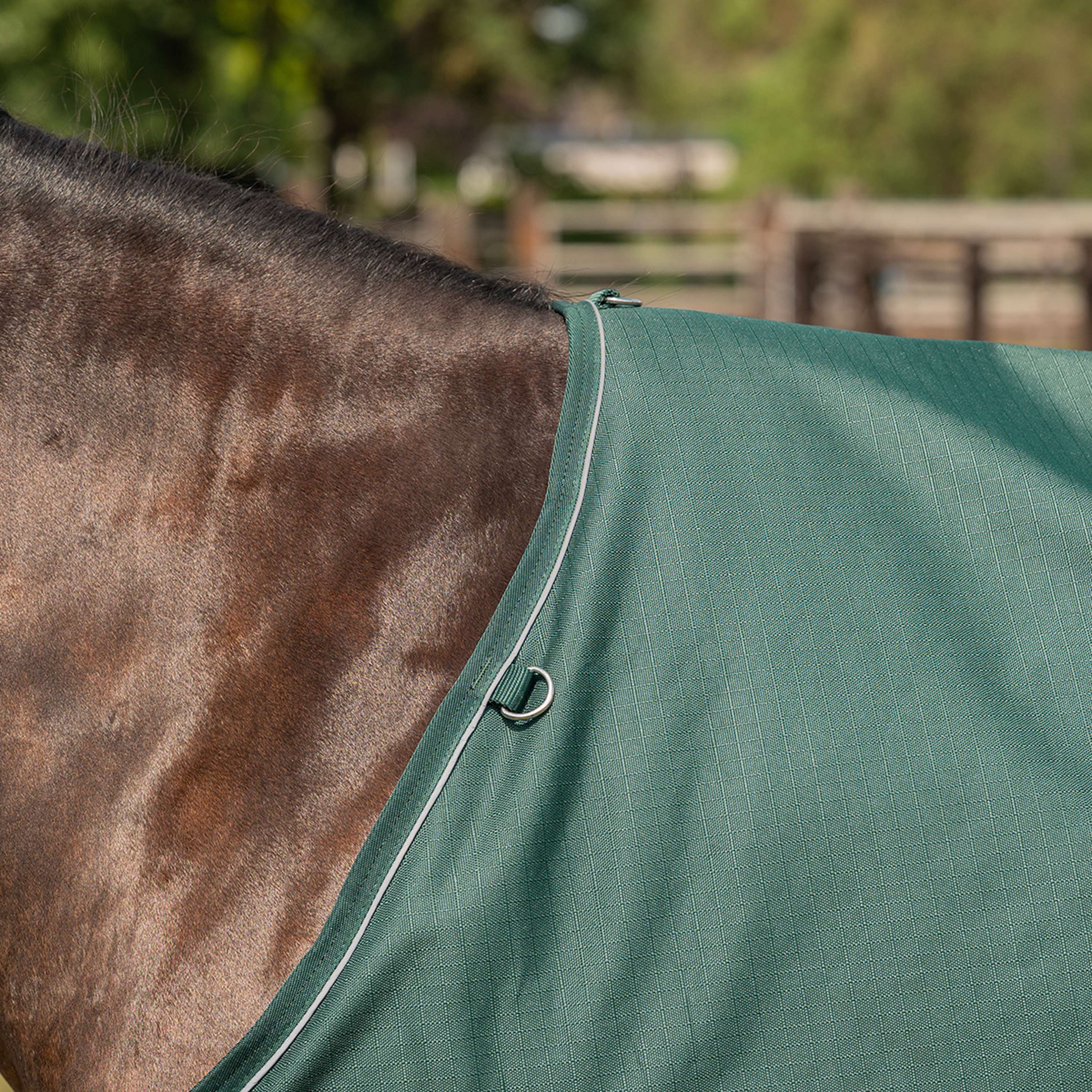 Agradi Horse Couverture d'Extérieur 1200D 0gr Bande Réfléchissante Vert - Image 4