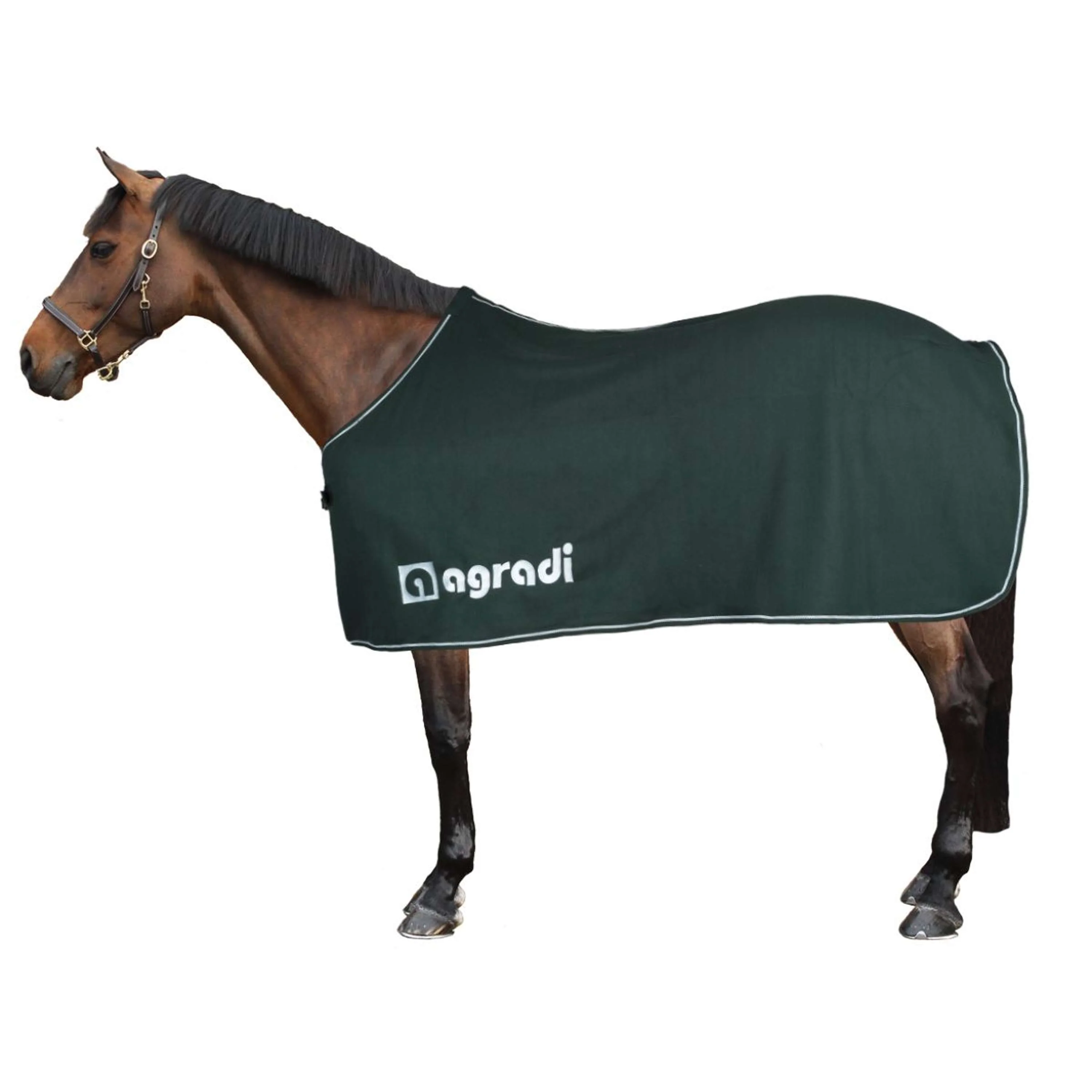 Agradi Horse Couverture Polaire Economic Fir Green - Image 2
