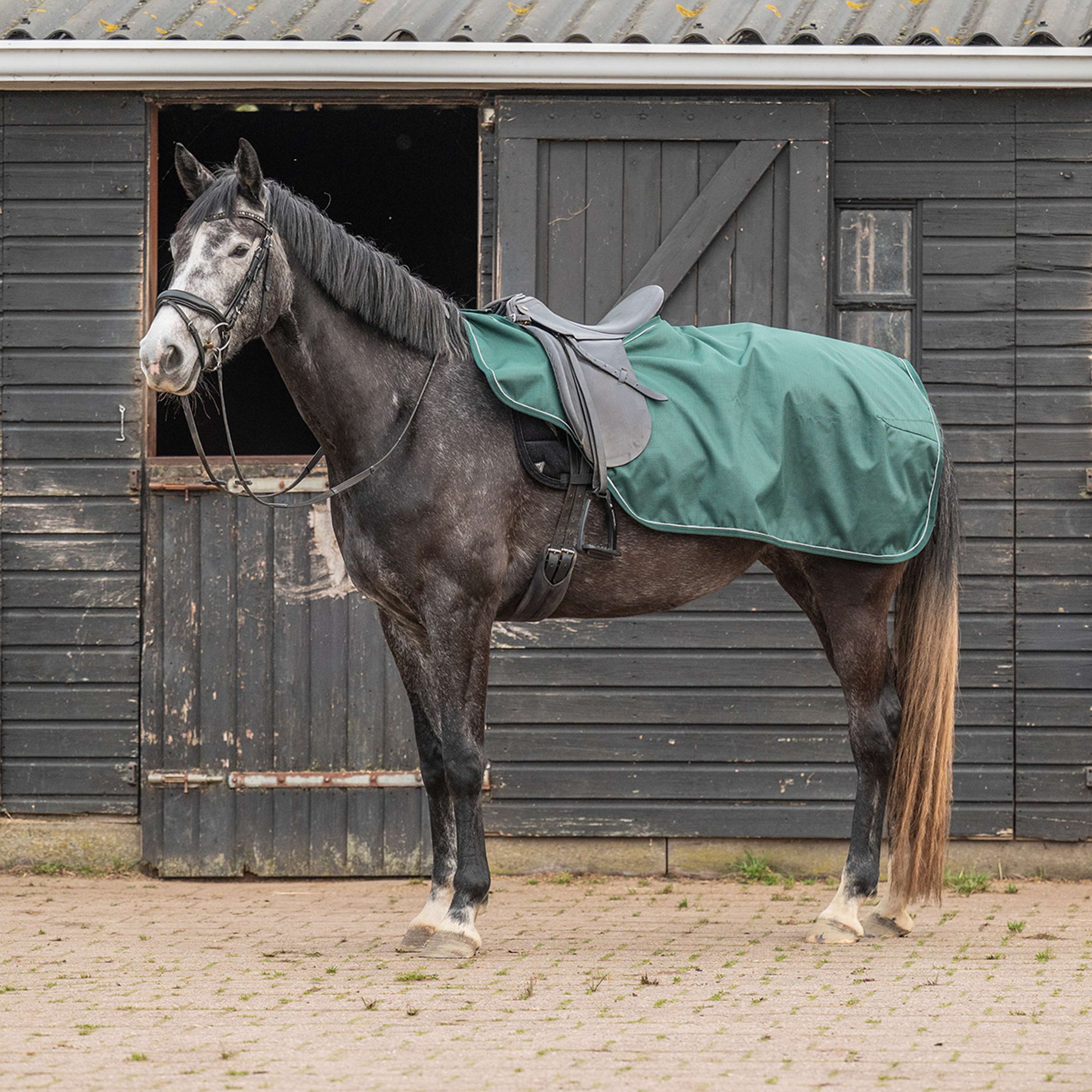 Agradi Horse Couvre-reins 1200D Bande Réfléchissante Vert - Image 2