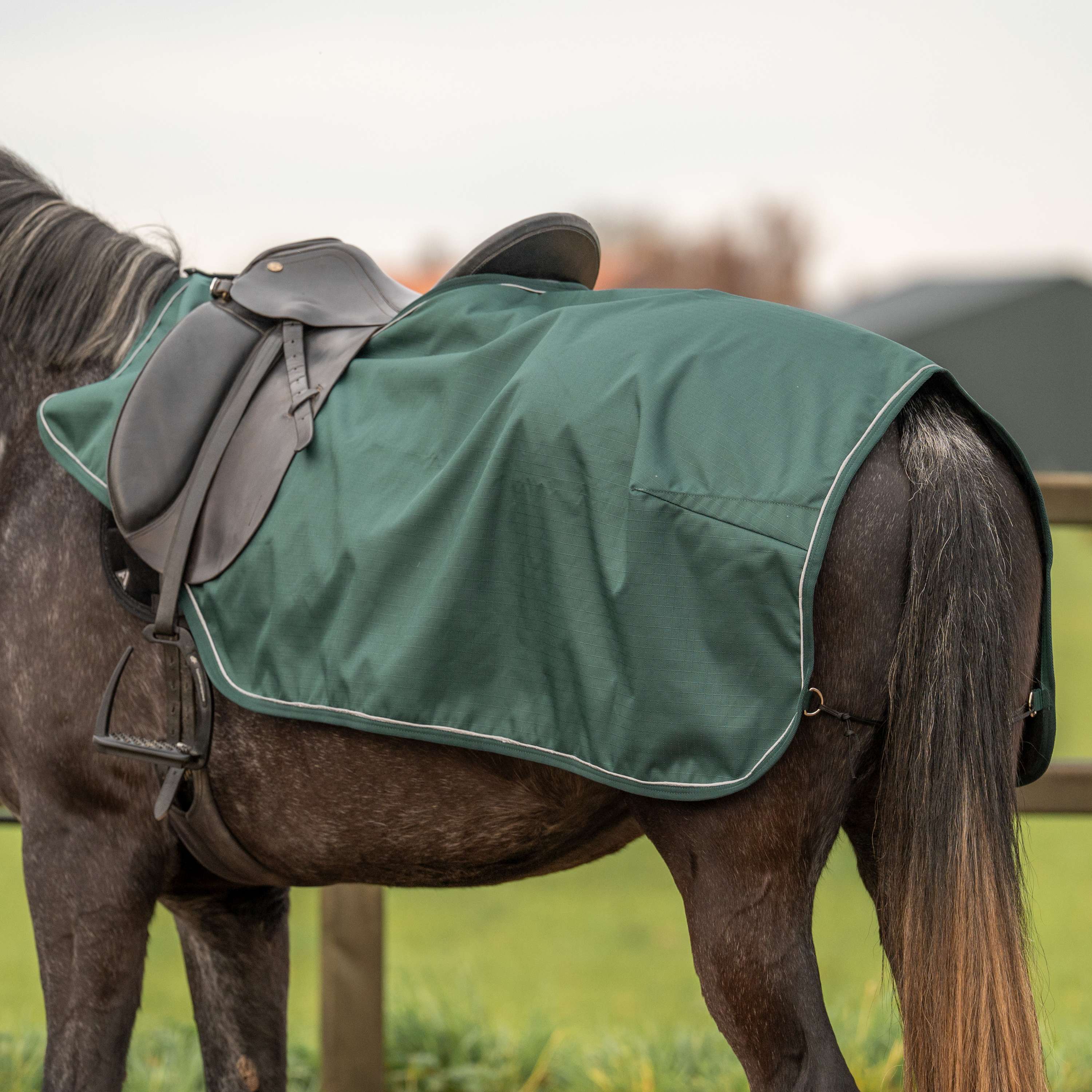 Agradi Horse Couvre-reins 1200D Bande Réfléchissante Vert - Image 4