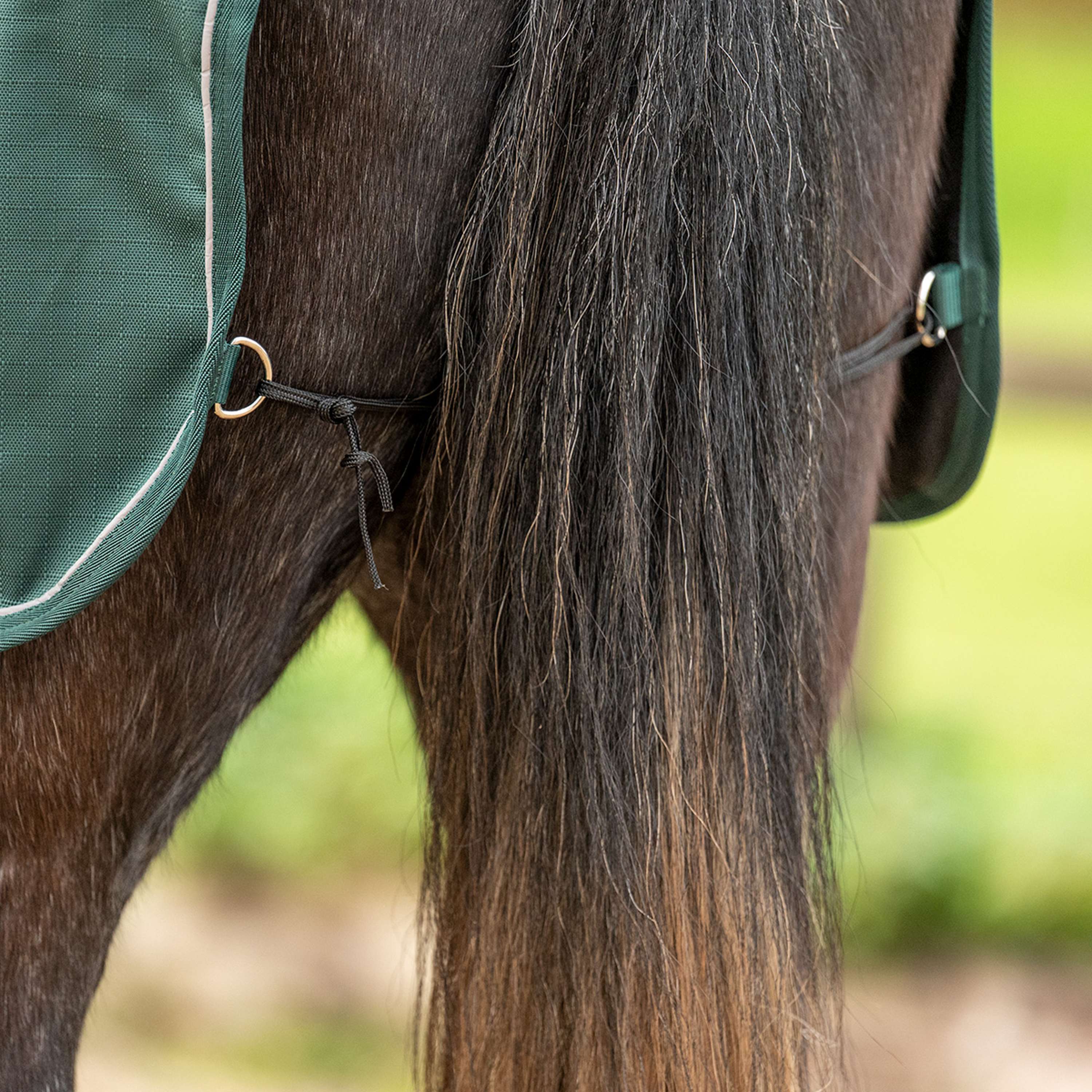 Agradi Horse Couvre-reins 1200D Bande Réfléchissante Vert - Image 9