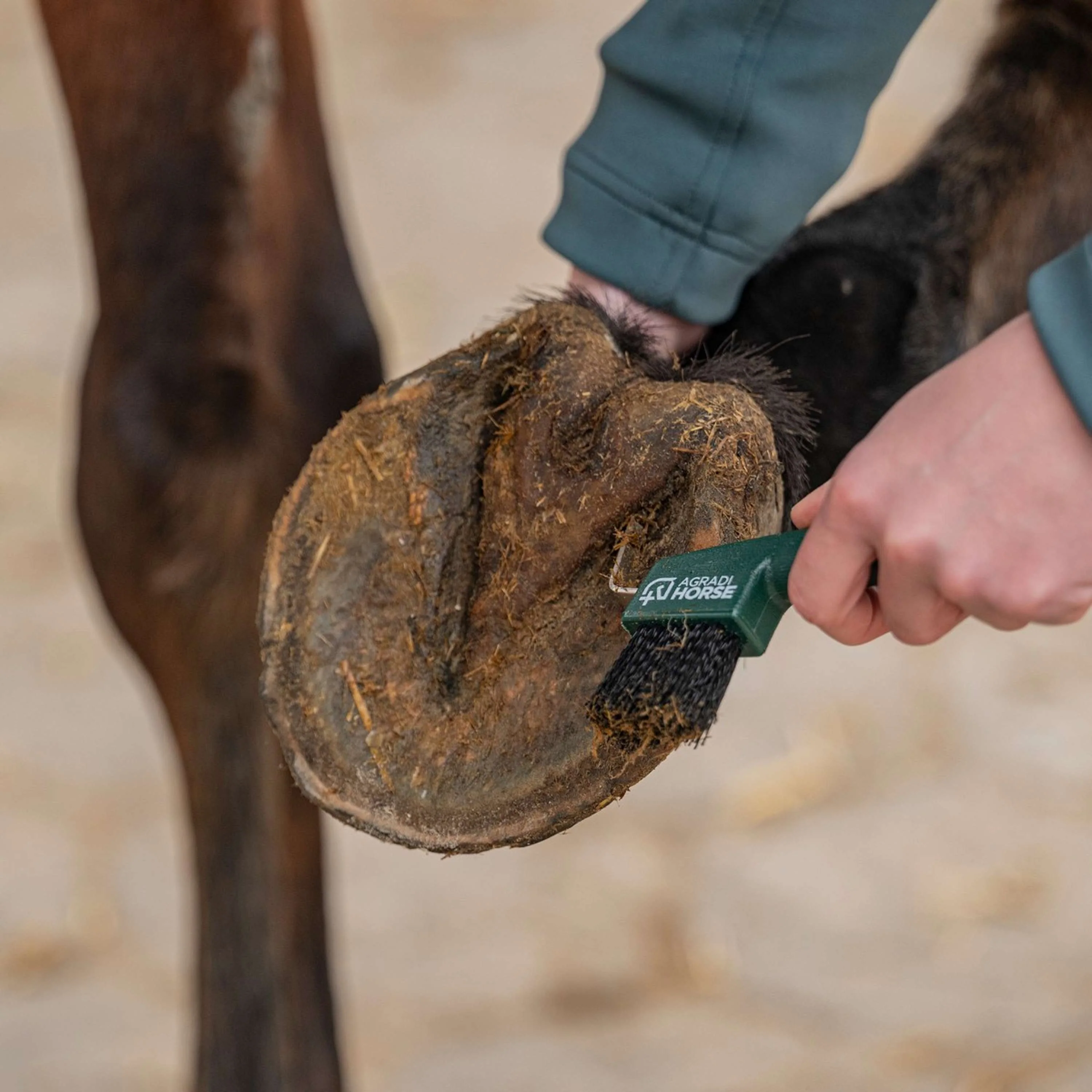 Agradi Horse Cure-Pied Fir Green - Image 3