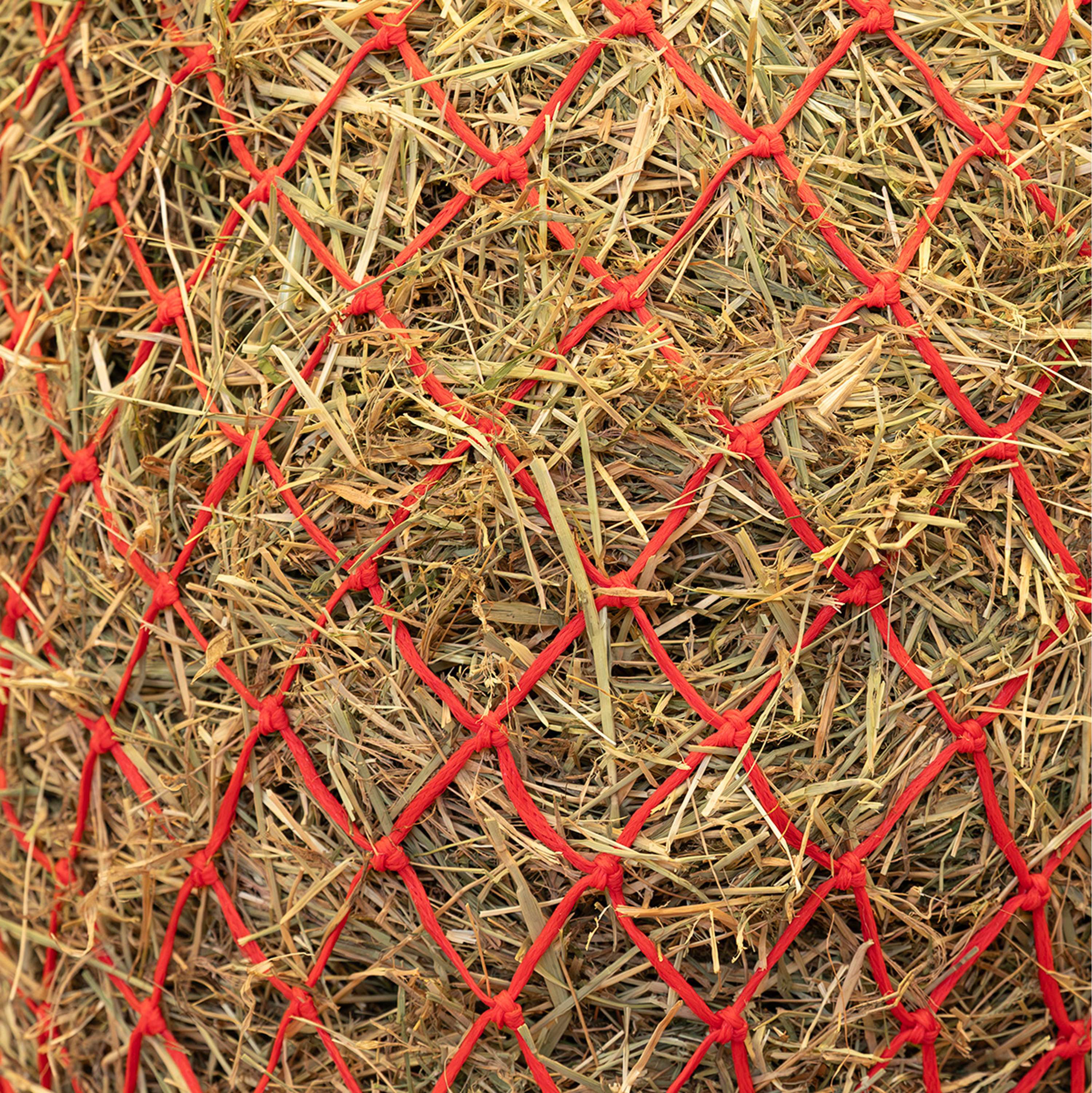 Agradi Horse Filet à Foin Fine Maille 5x5cm Rouge - Image 2