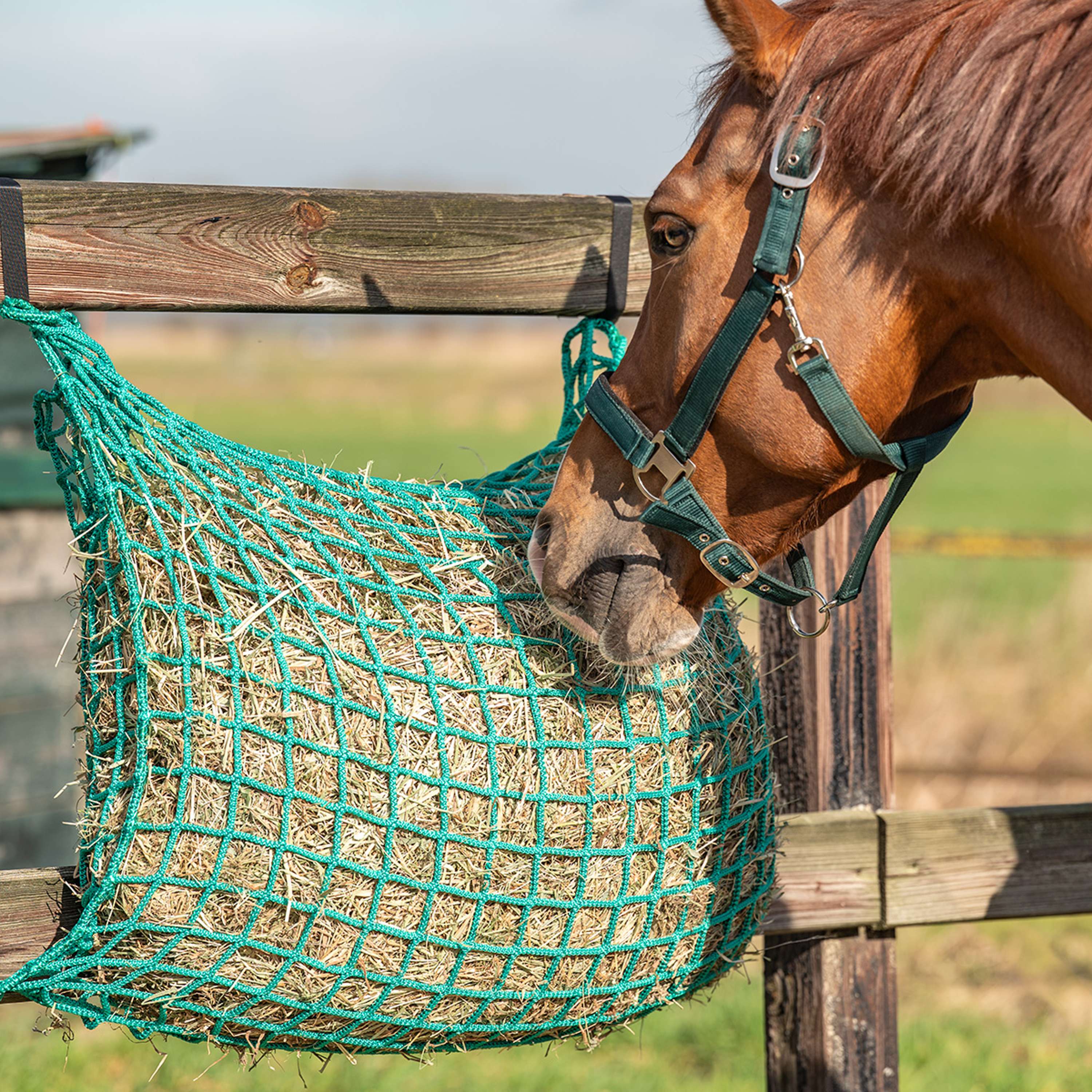 Agradi Horse Filet à Foin Flexi Strong Maille 4,5 x 4,5 cm Vert - Image 8