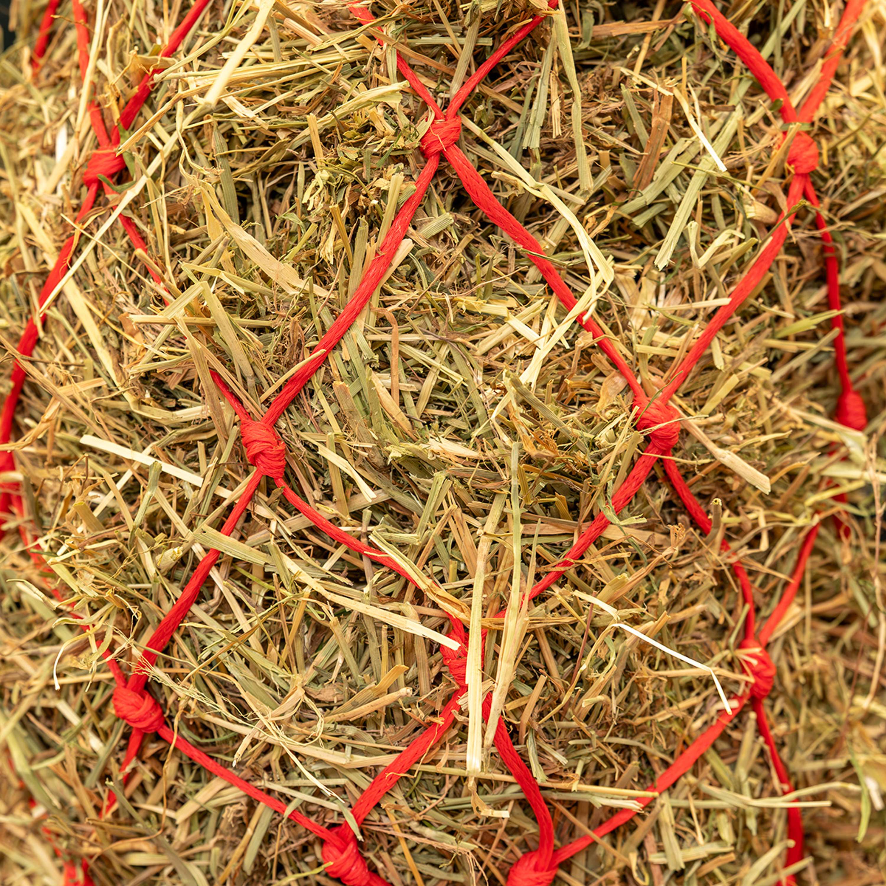 Agradi Horse Filet à Foin Standaard Maille grossière 8x8cm Rouge - Image 2