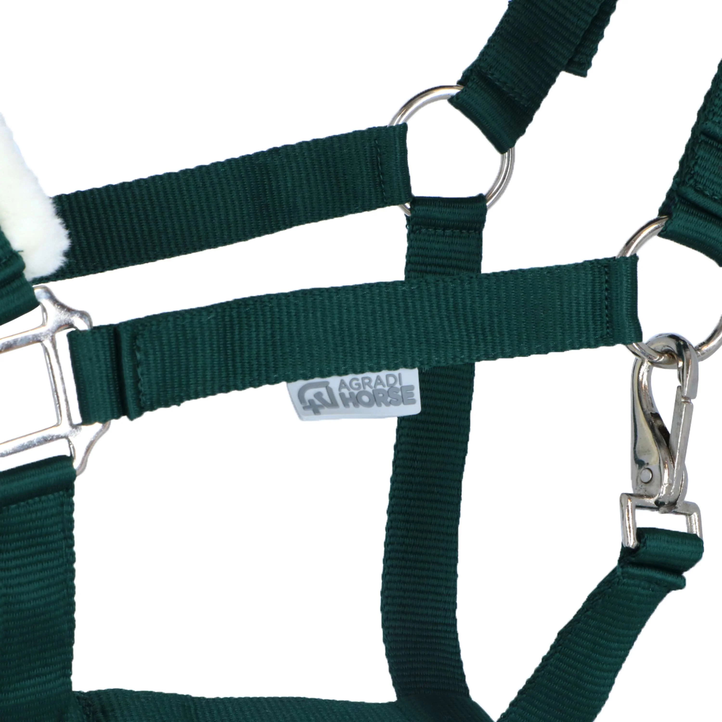 Agradi Horse Licol First Fir Green - Image 3