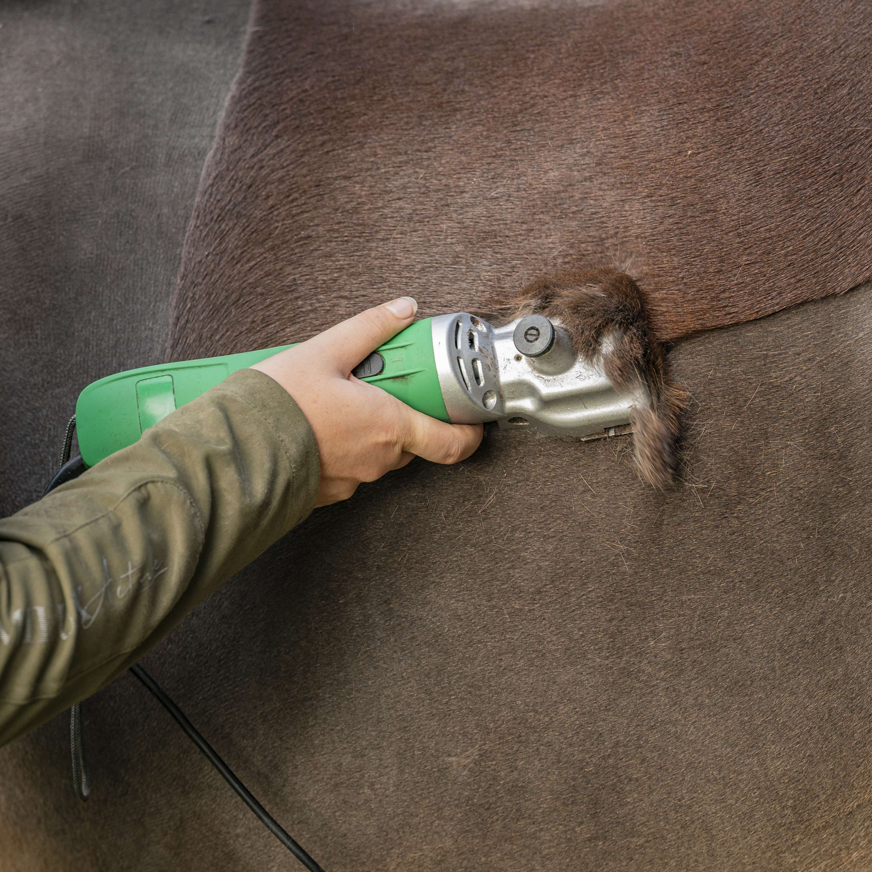 Agradi Horse Tondeuse HC-2000 Cheval Vert - Image 12
