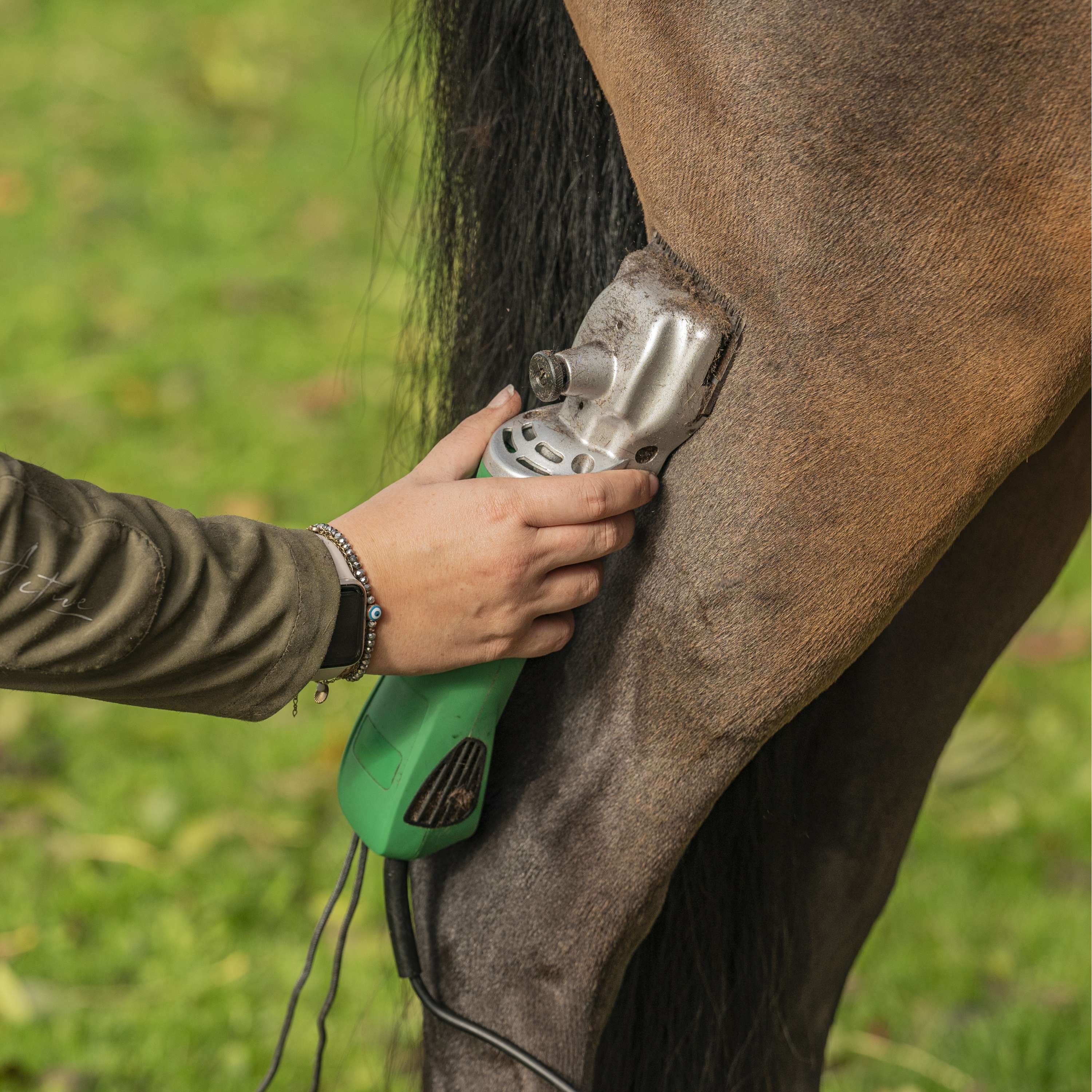 Agradi Horse Tondeuse HC-2000 Cheval Vert - Image 2