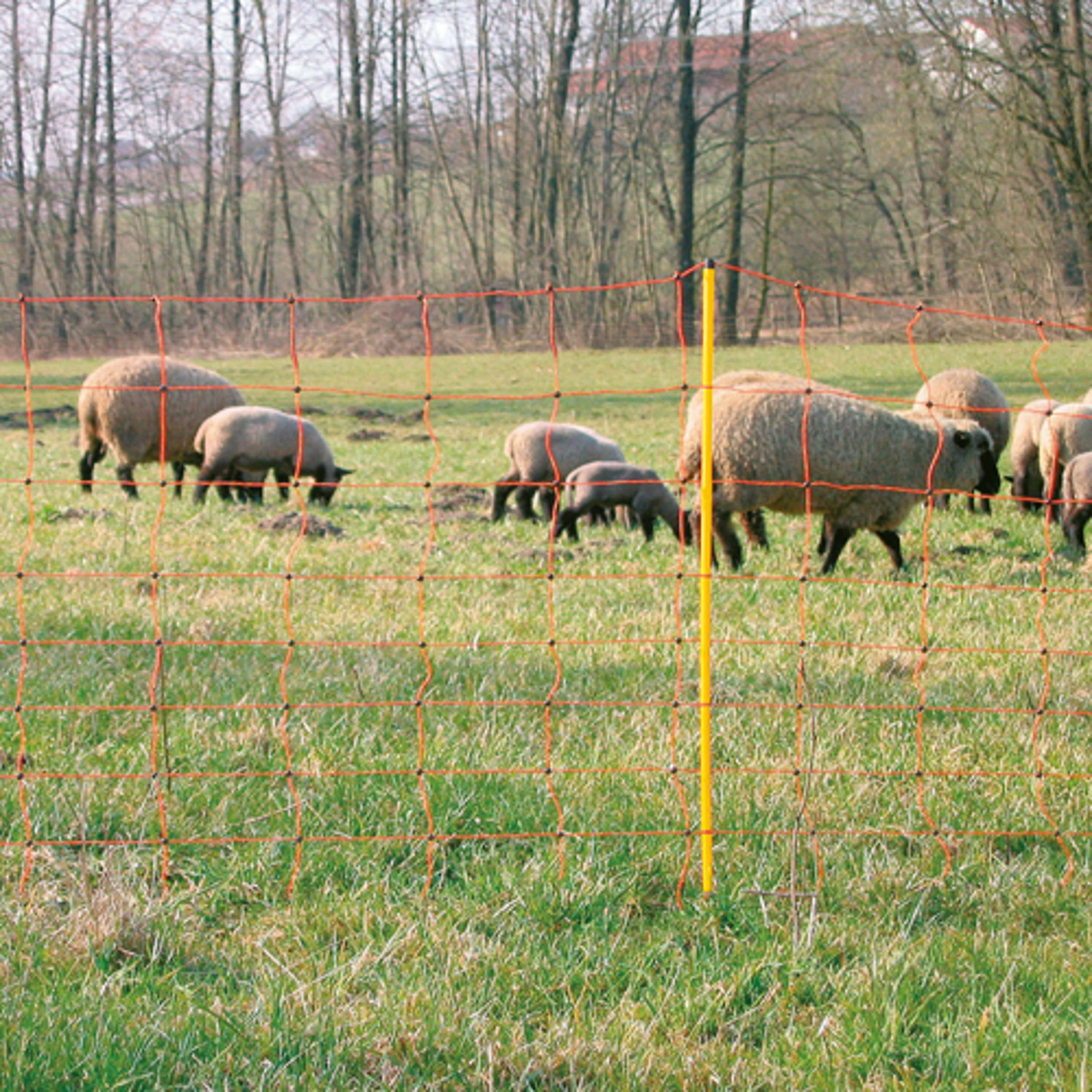 Agradi Power Filet à Moutons Double Goupille - Image 7