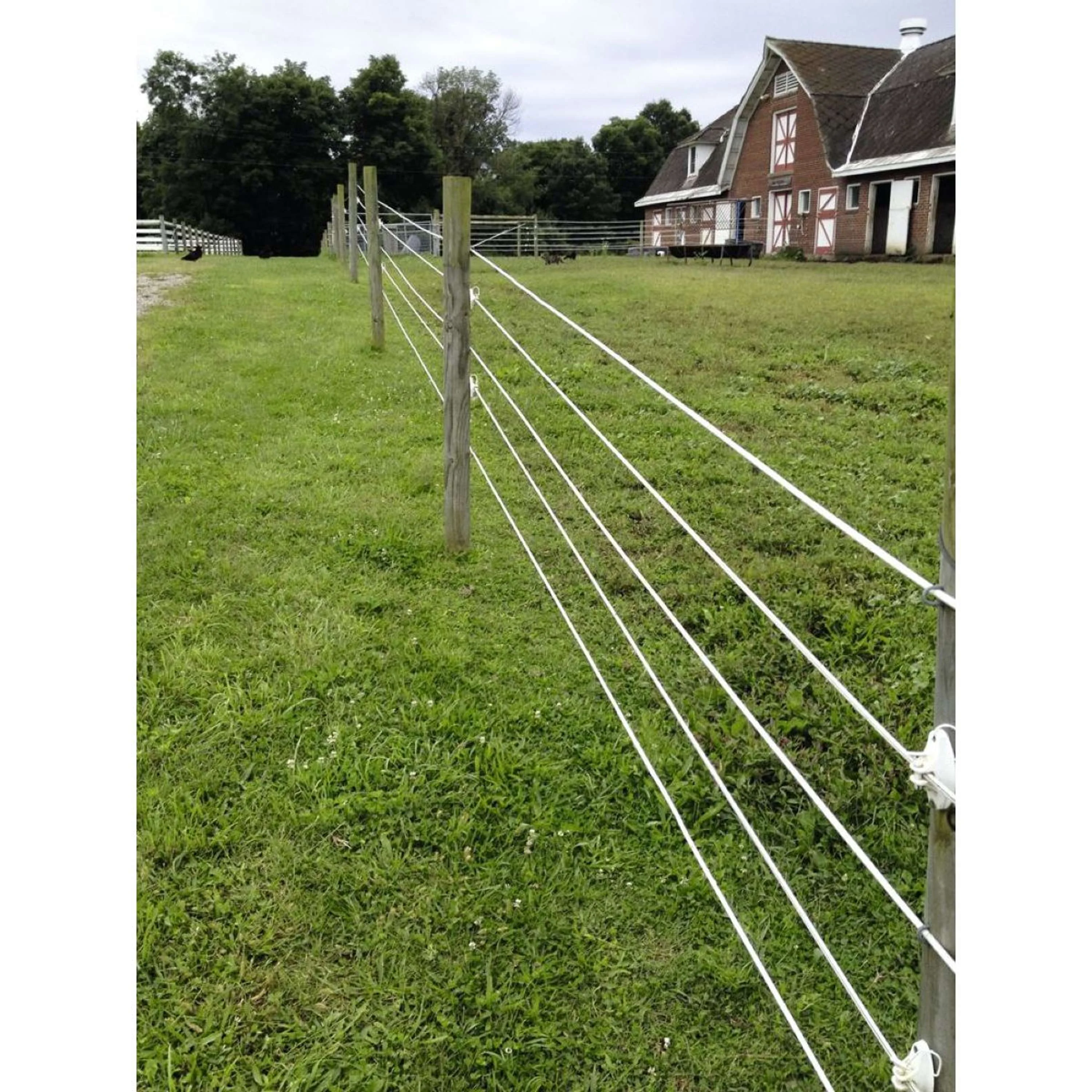 Ako TopLine Horse Wire - Image 2