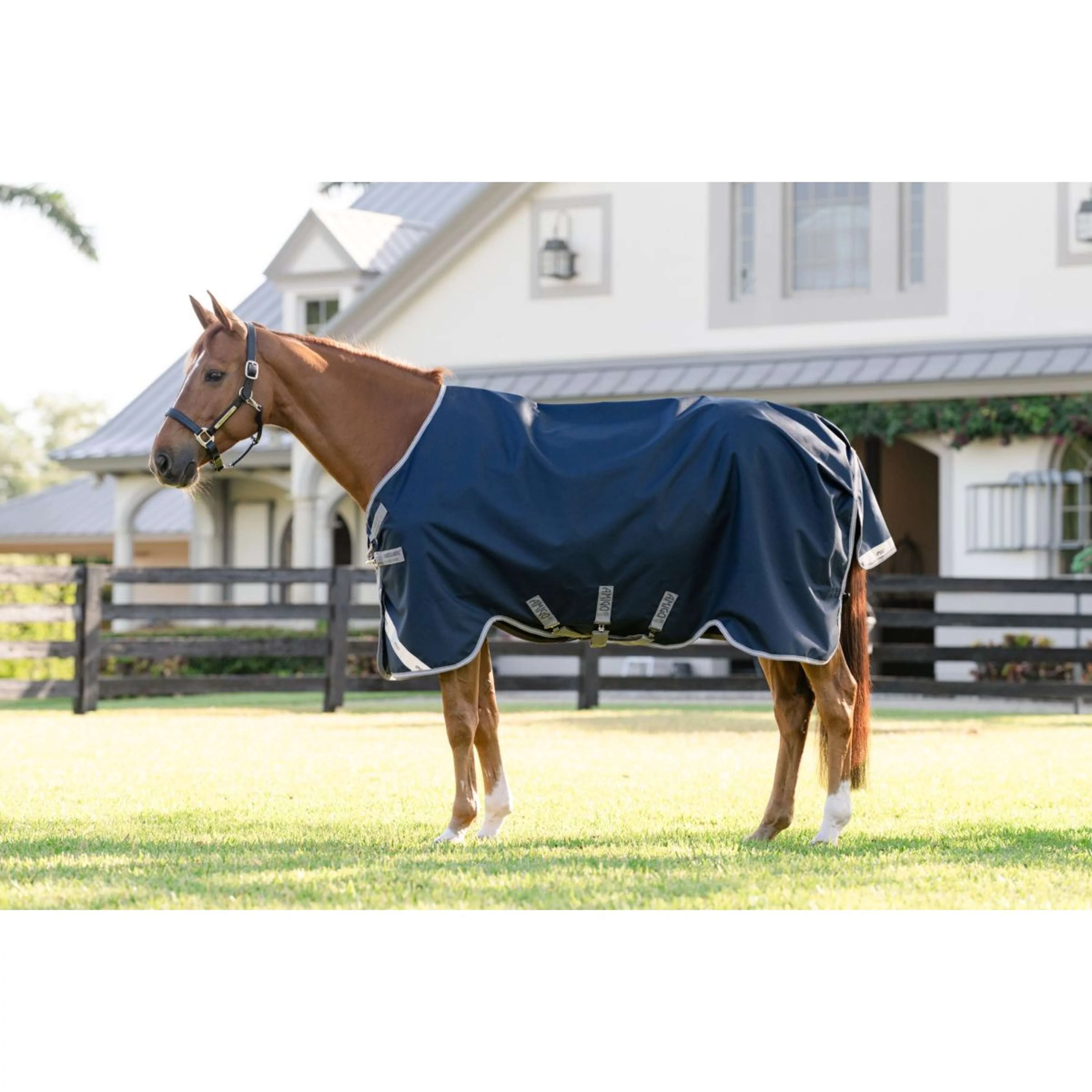 Amigo Couverture Turnout Bravo 100g Navy/Titanium Grey - Image 2