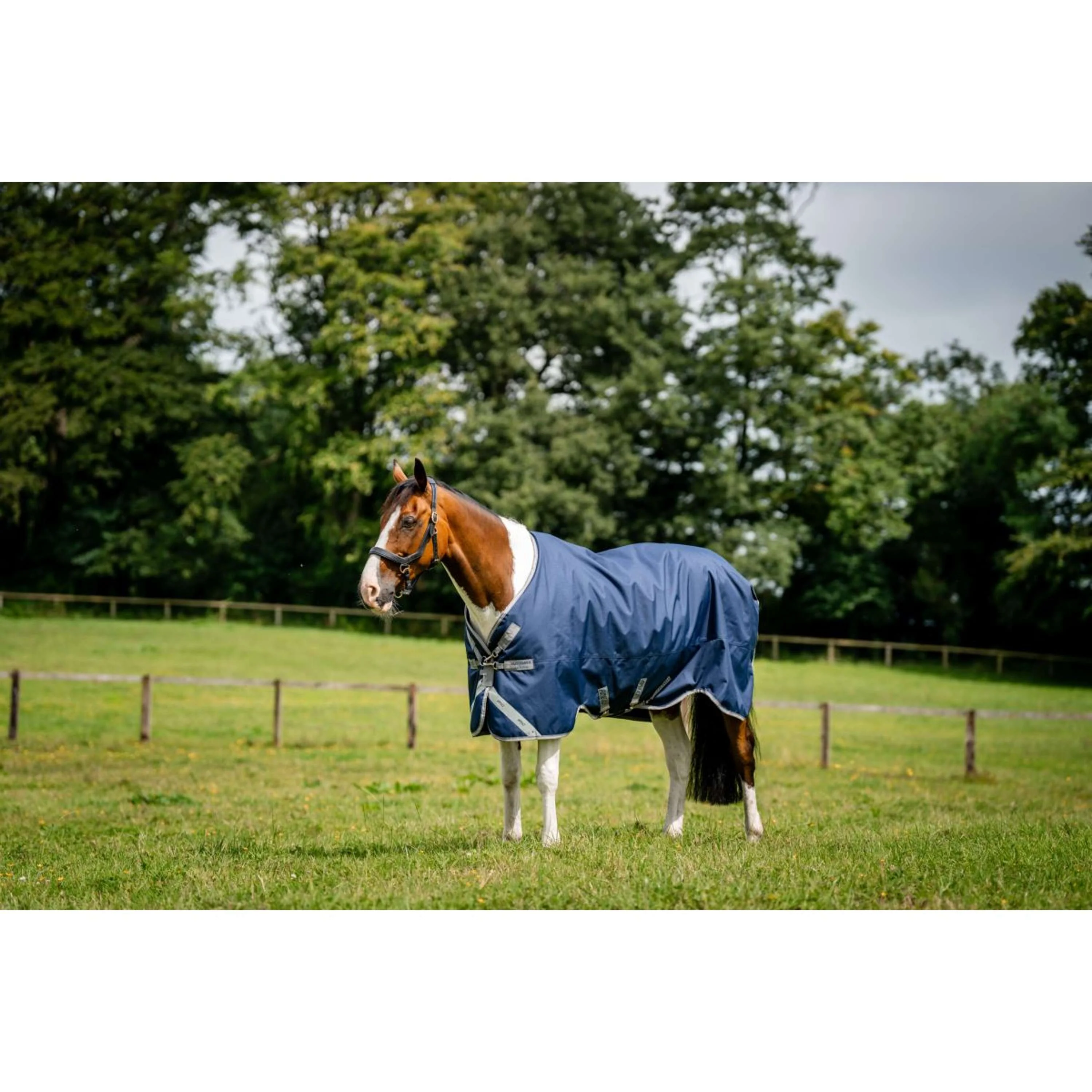 Amigo Bravo 12XL Original Turnout Medium 250g Navy/Titanium Grey - Image 6