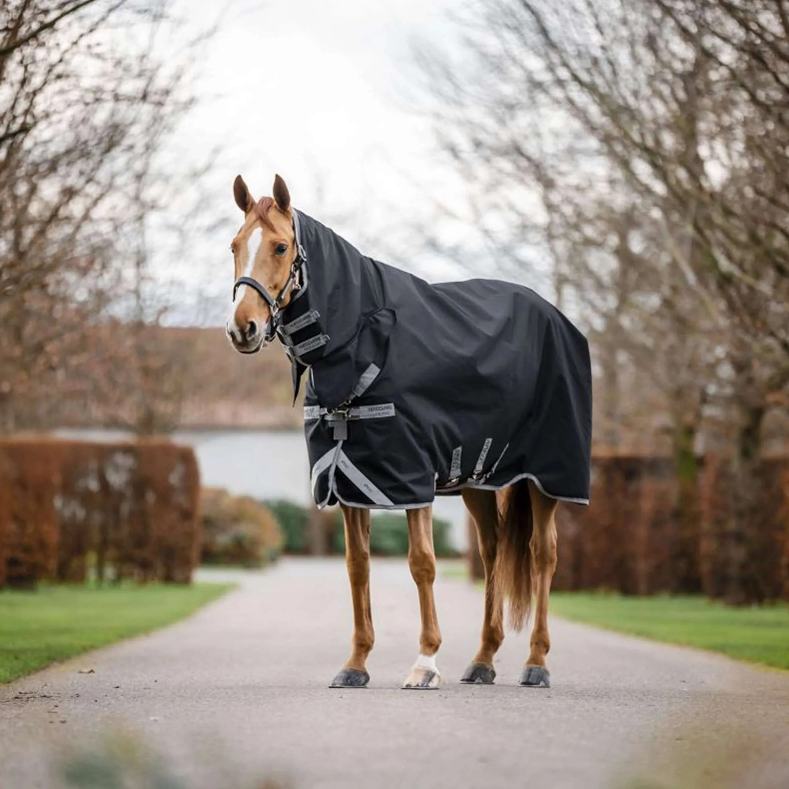 Miniature 1