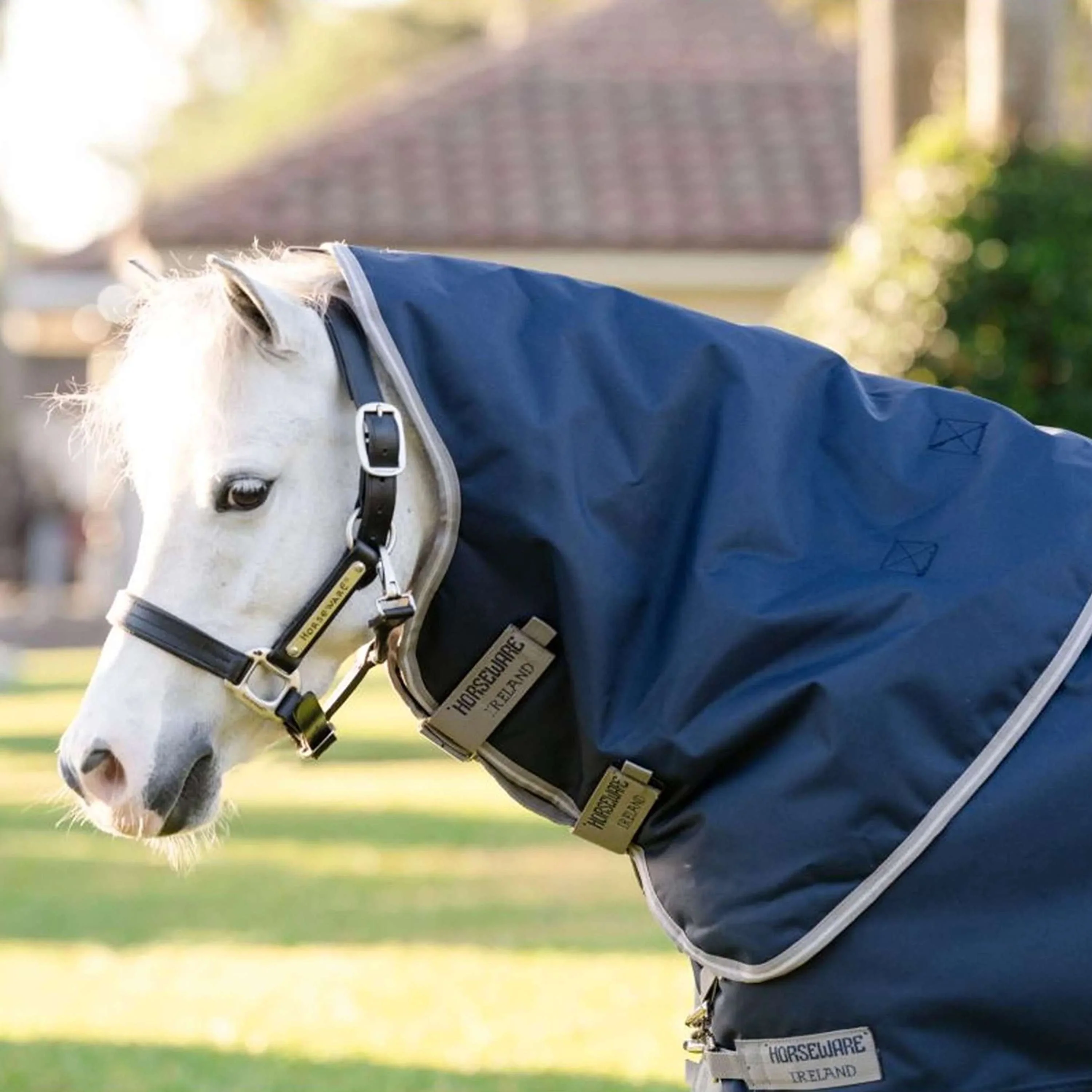Amigo Chemise Turnout 1200D Plus Pony 50g Marine/Gris Titane/Argent - Image 3