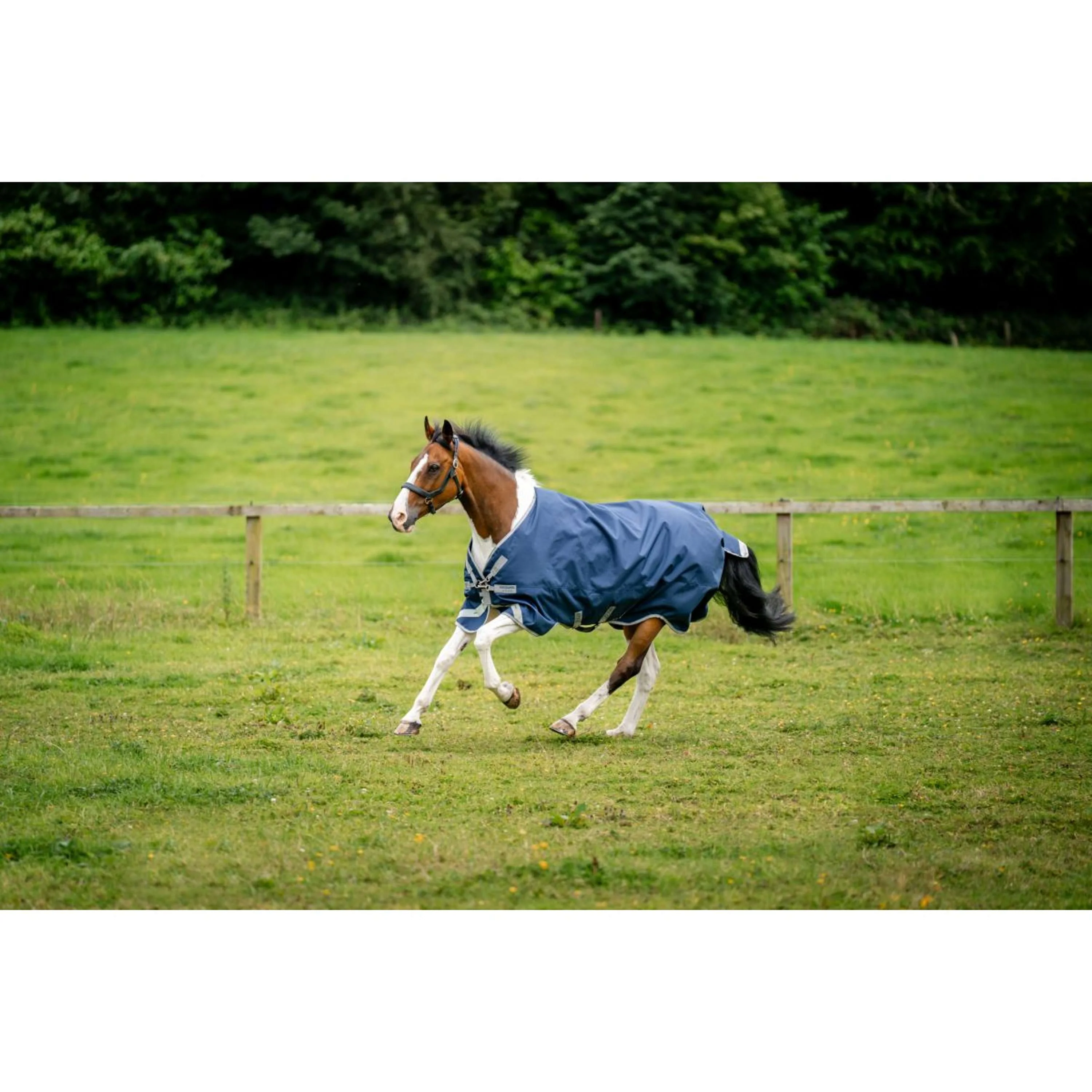 Amigo Chemise Turnout 1200D XL 150g Navy/Titanium Grey/Silver - Image 6