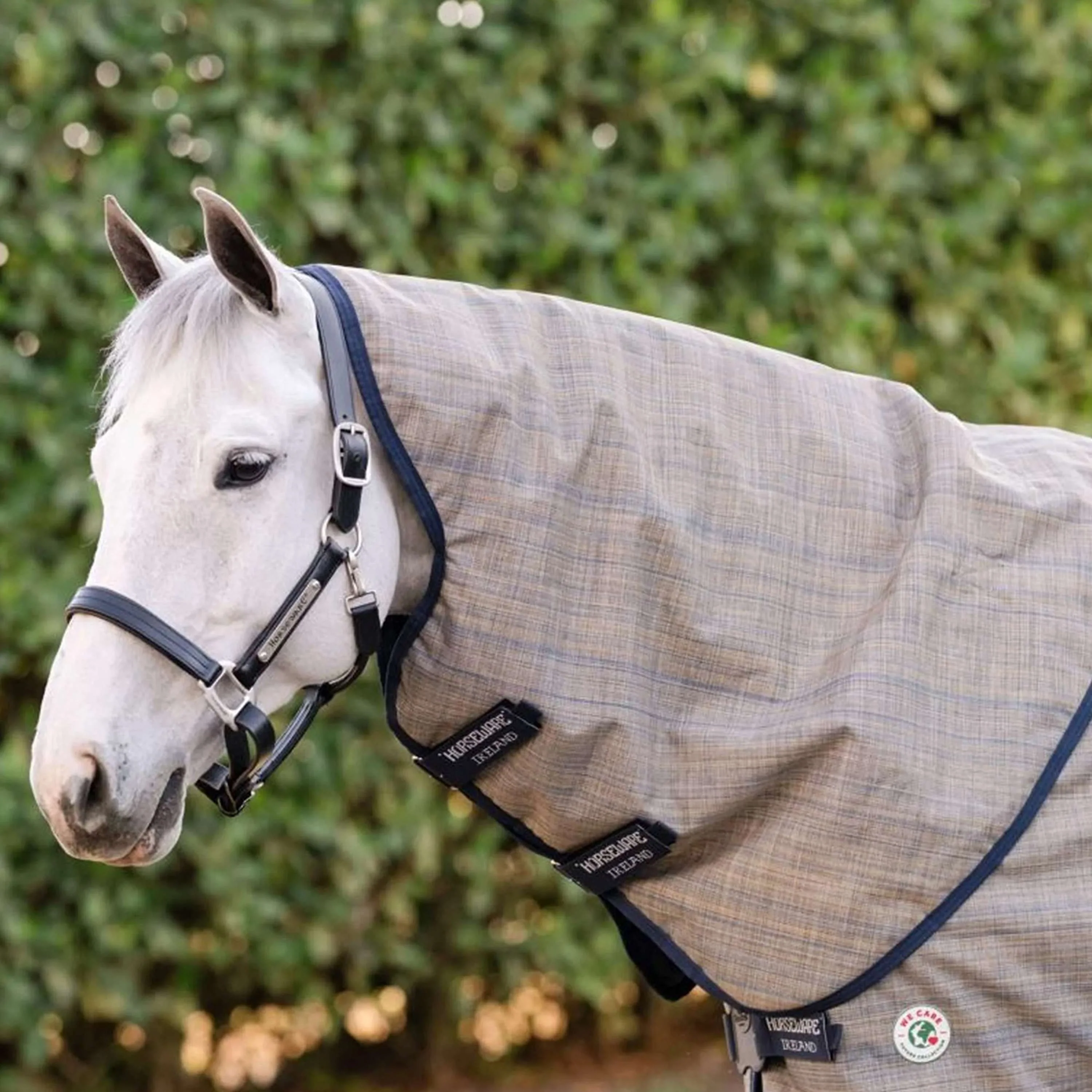 Amigo Chemise Turnout 900D Revive Plus 50g - Image 5