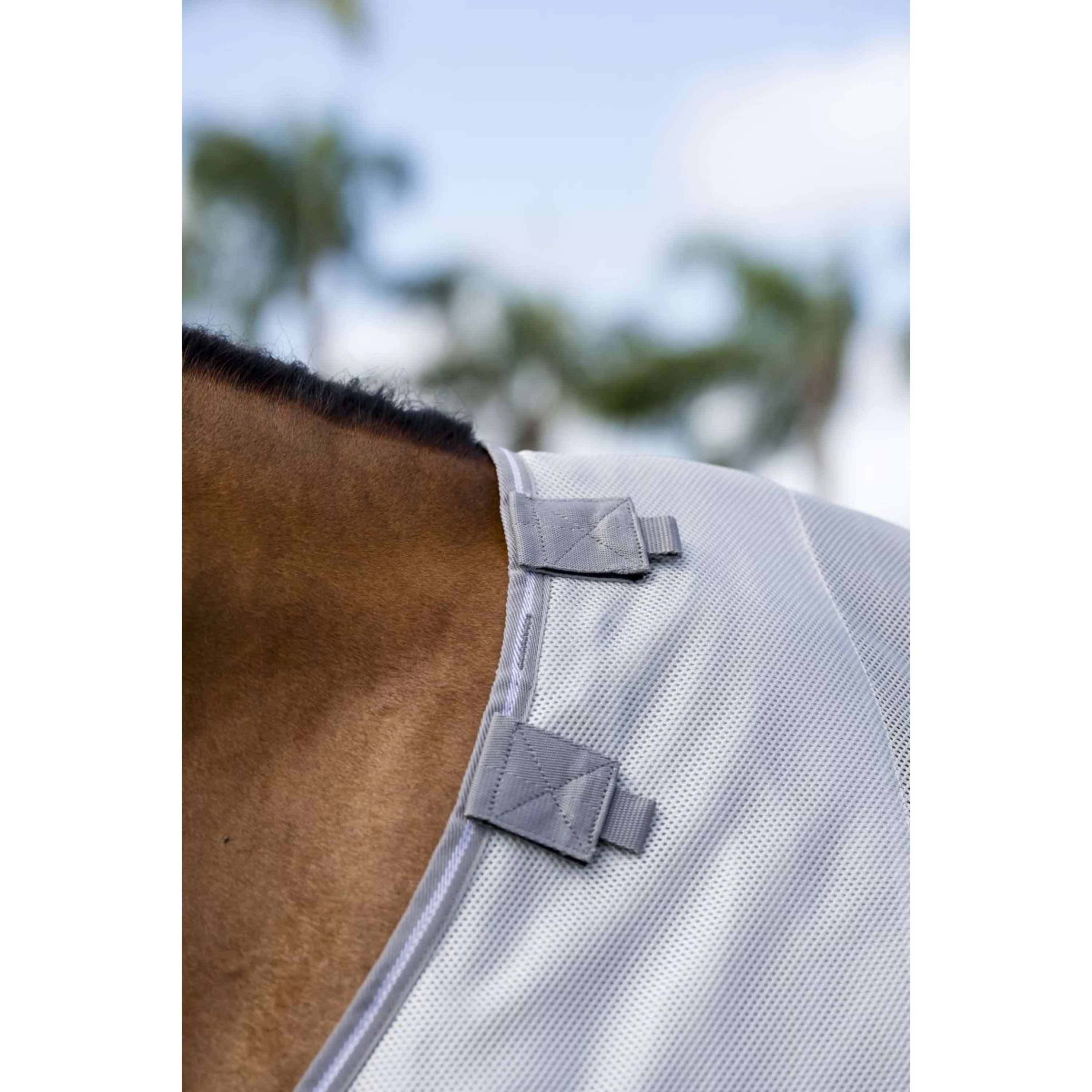Amigo Bug Buster Argent/Gris Titane/Argent - Image 4