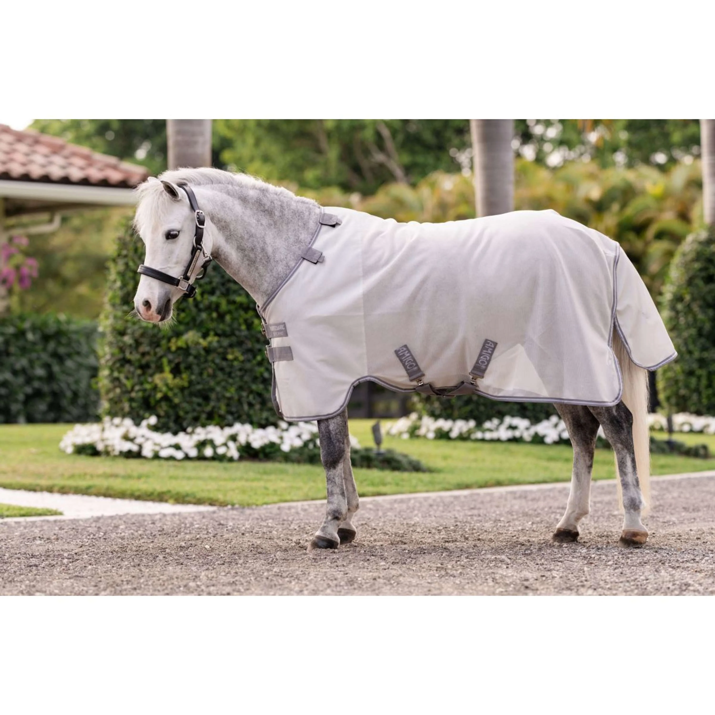 Amigo Bug Rug Plus Pony Argent/Gris Titane/Argent - Image 2