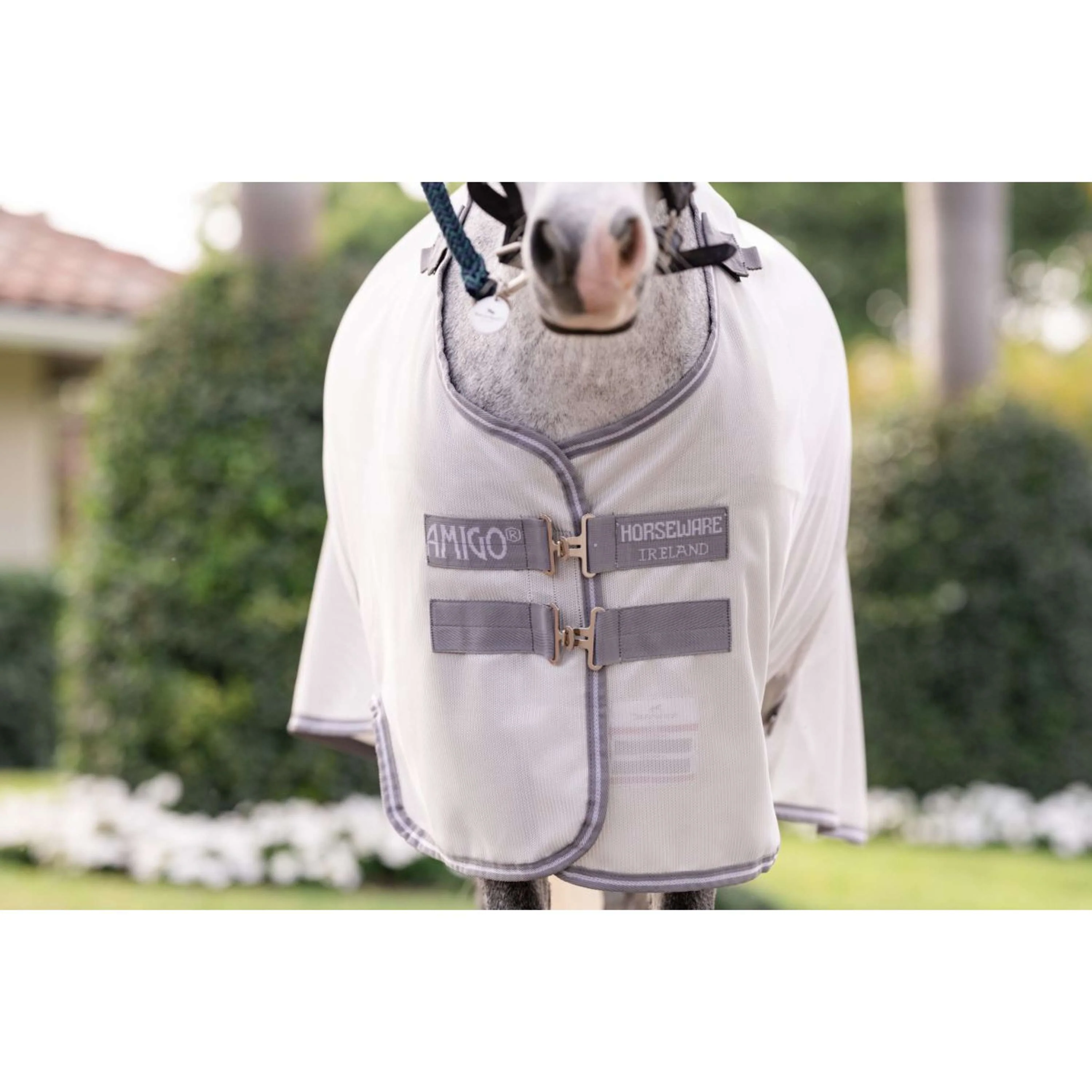 Amigo Bug Rug Plus Pony Argent/Gris Titane/Argent - Image 4