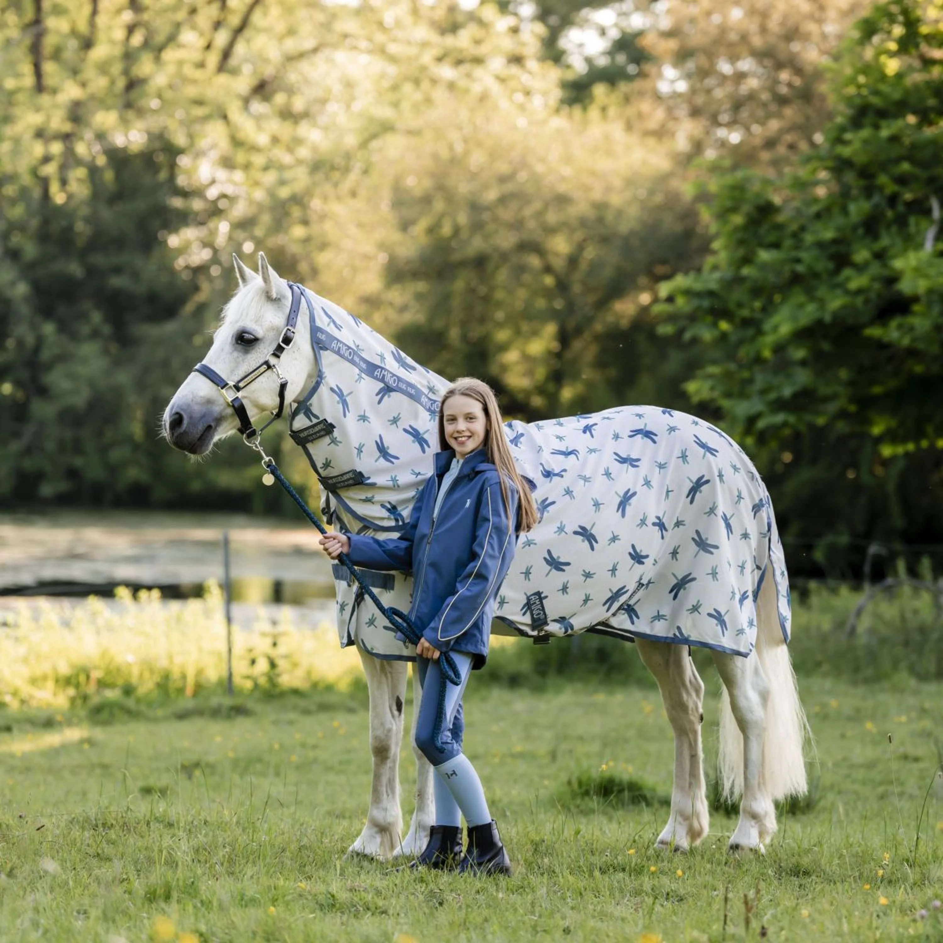 Amigo Couverture Anti-Mouches Plus Pony Dragonfly Print/Silver/Blue/Sage - Image 2
