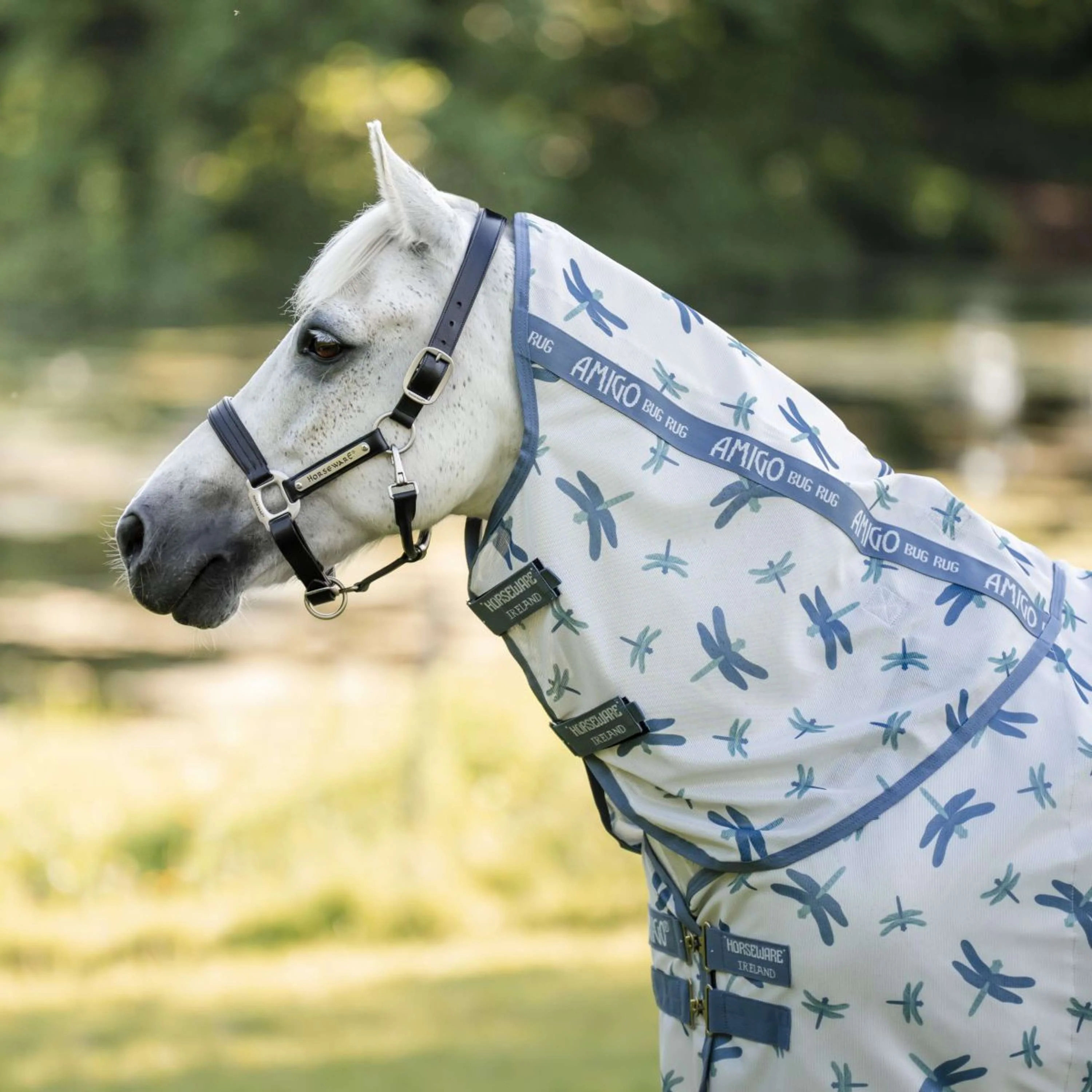 Amigo Couverture Anti-Mouches Plus Pony Dragonfly Print/Silver/Blue/Sage - Image 3