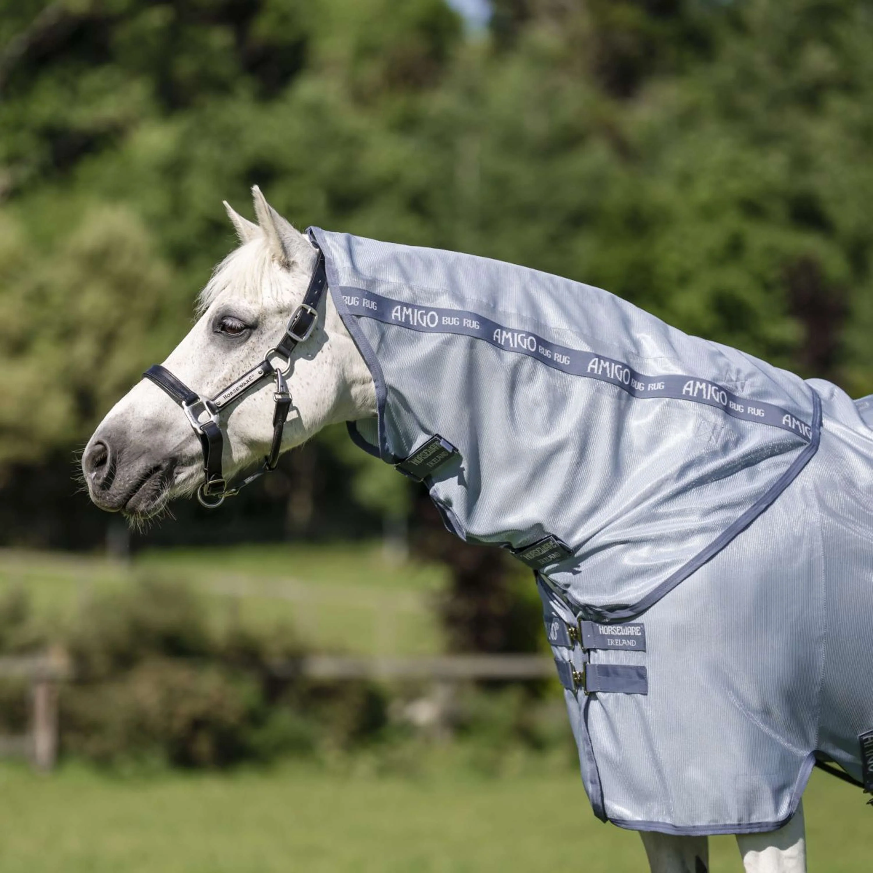 Amigo Couverture Anti-Mouches Plus Pony Heather Blue/Blue/Silver - Image 3