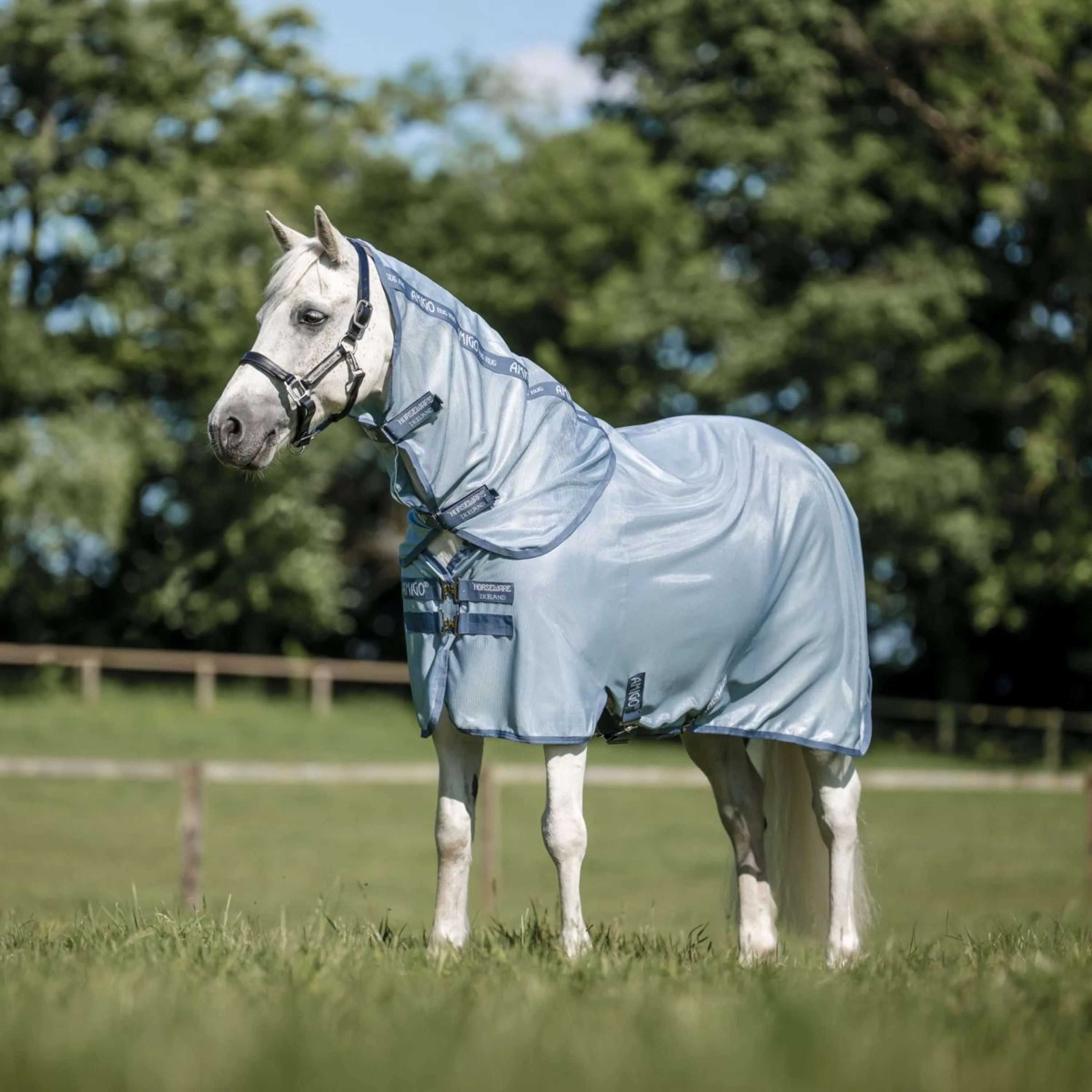 Amigo Couverture Anti-Mouches Plus Pony Heather Blue/Blue/Silver - Image 4