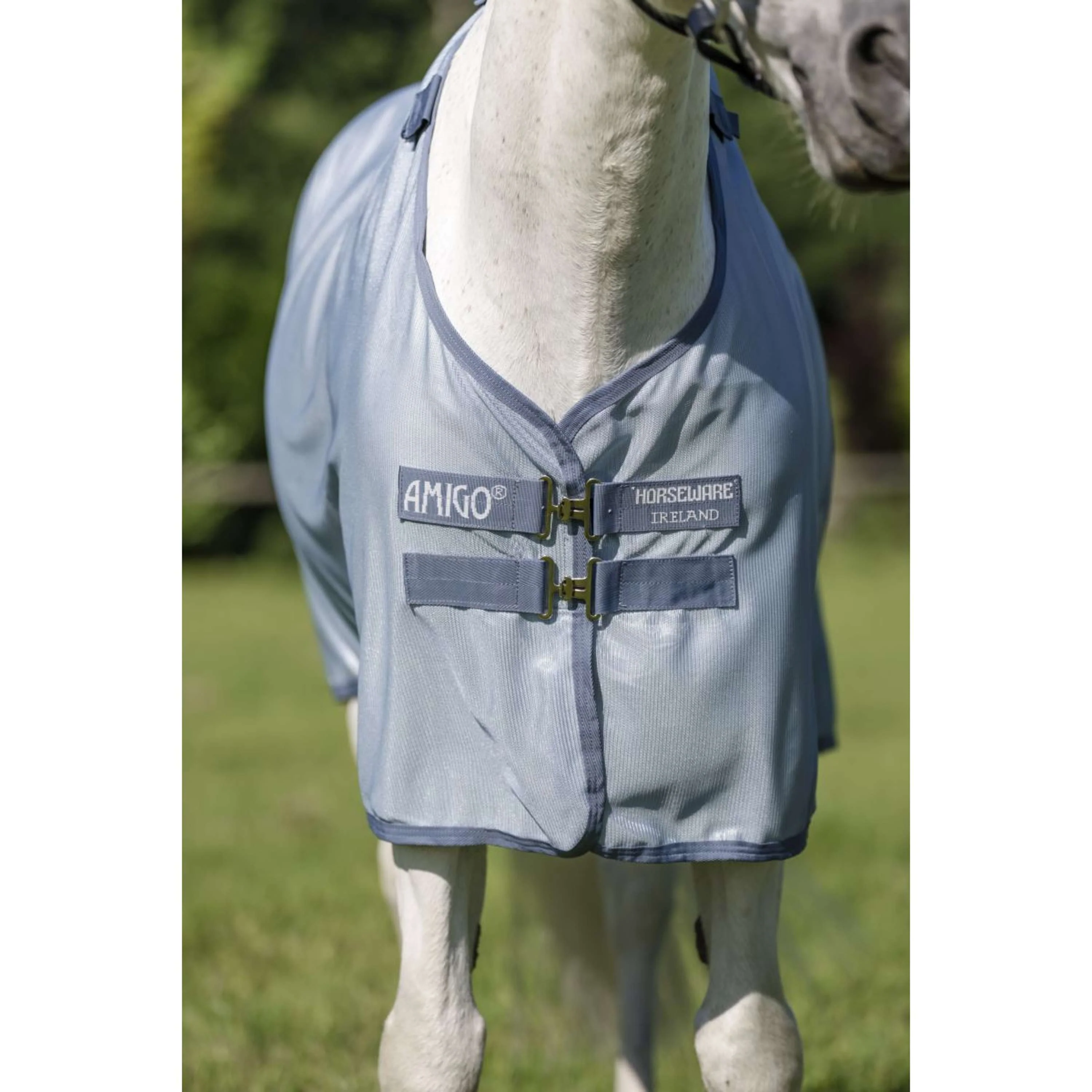 Amigo Couverture Anti-Mouches Plus Pony Heather Blue/Blue/Silver - Image 5