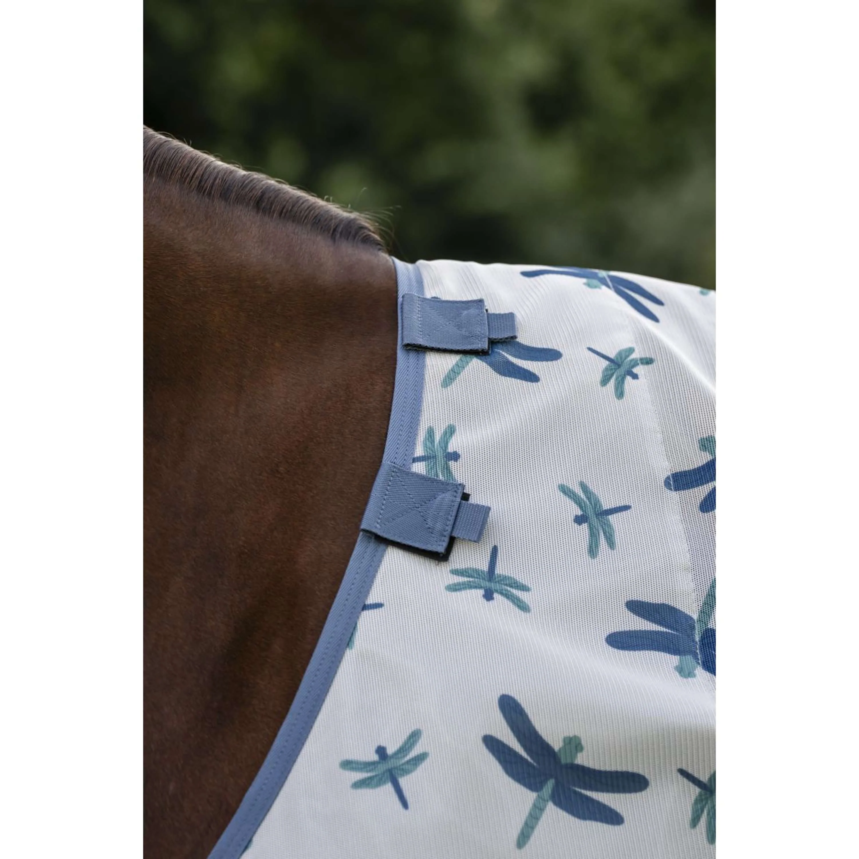 Amigo Couverture Anti-Mouches Dragonfly Print/Silver/Blue/Sage - Image 4