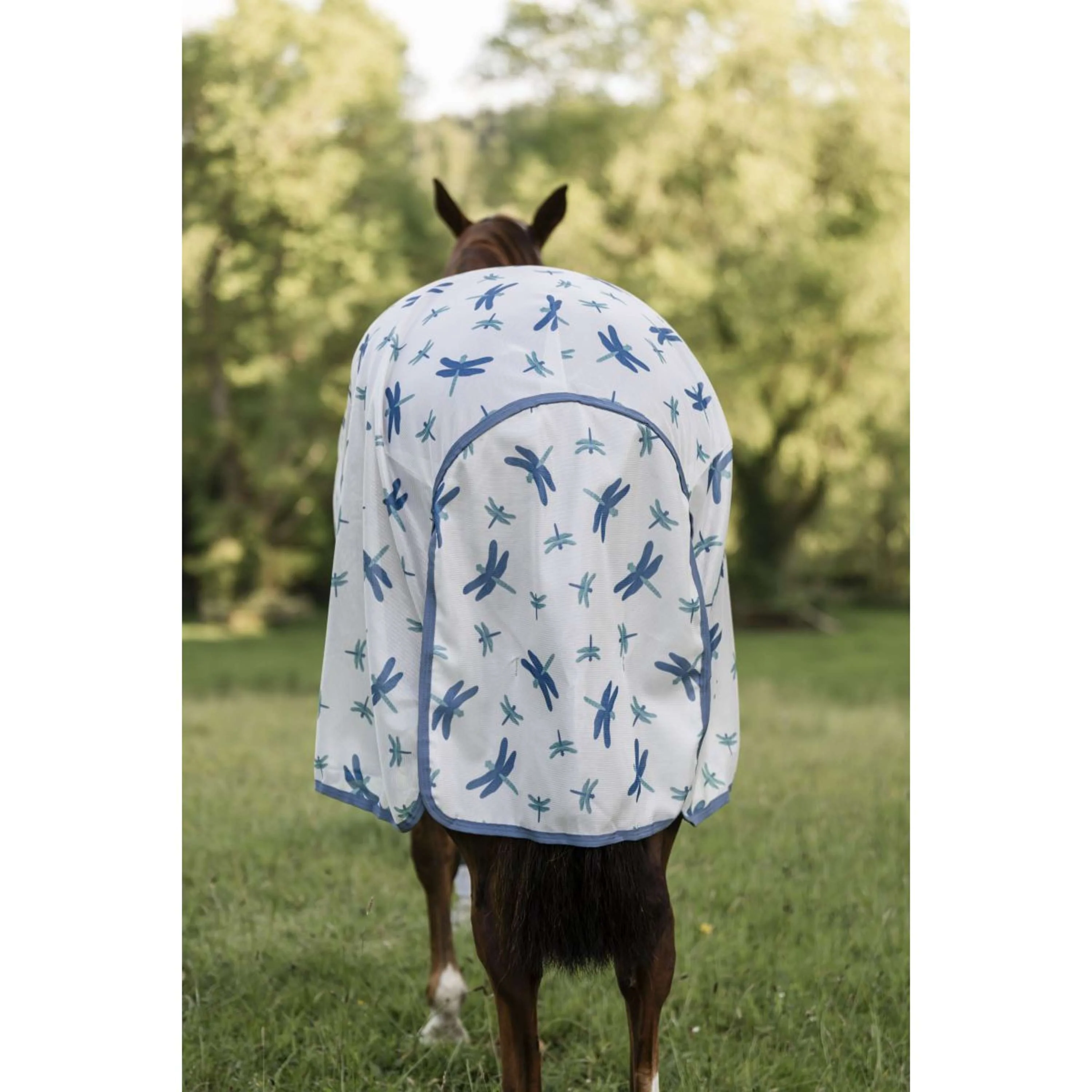 Amigo Couverture Anti-Mouches Dragonfly Print/Silver/Blue/Sage - Image 6