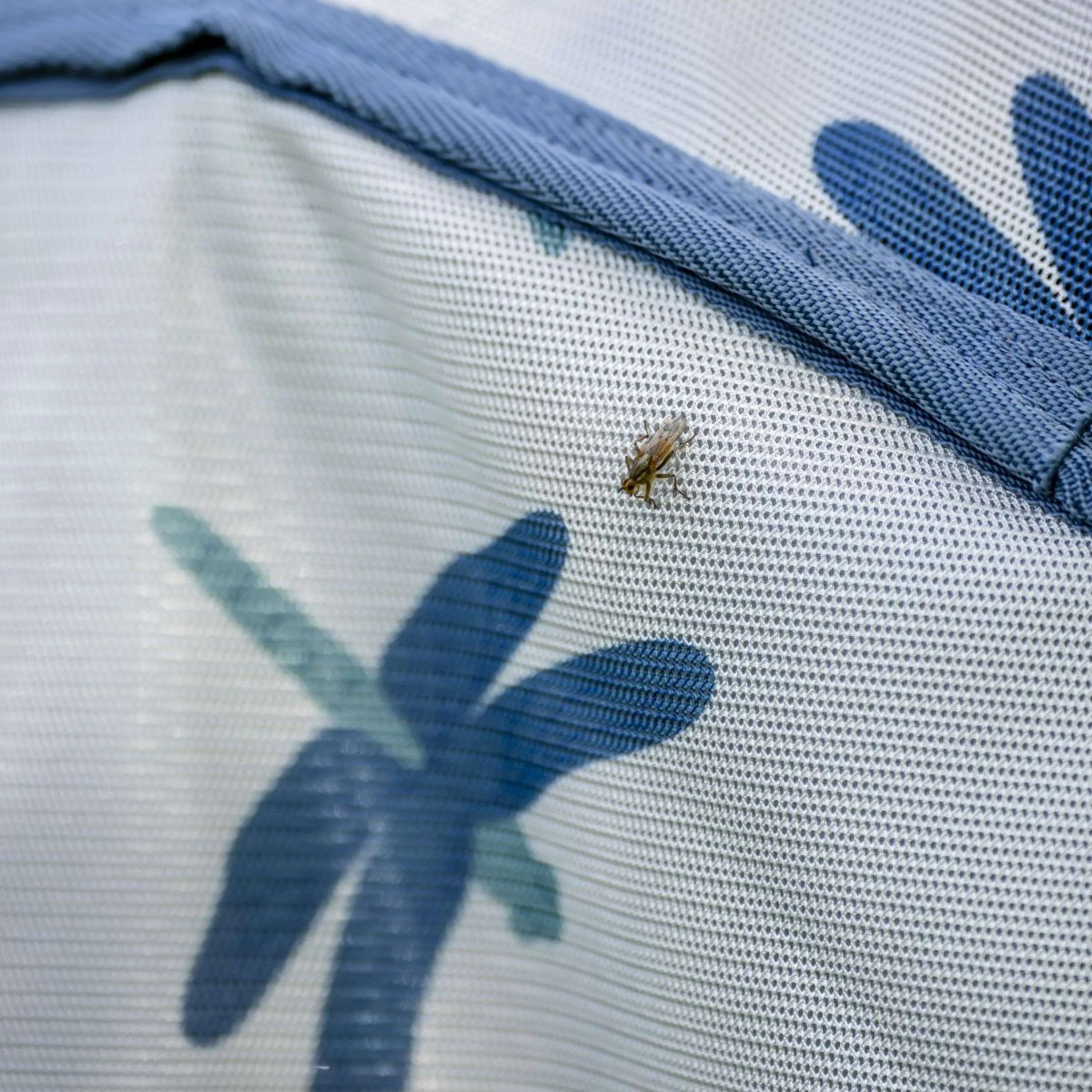 Amigo Couverture Anti-Mouches Dragonfly Print/Silver/Blue/Sage - Image 10