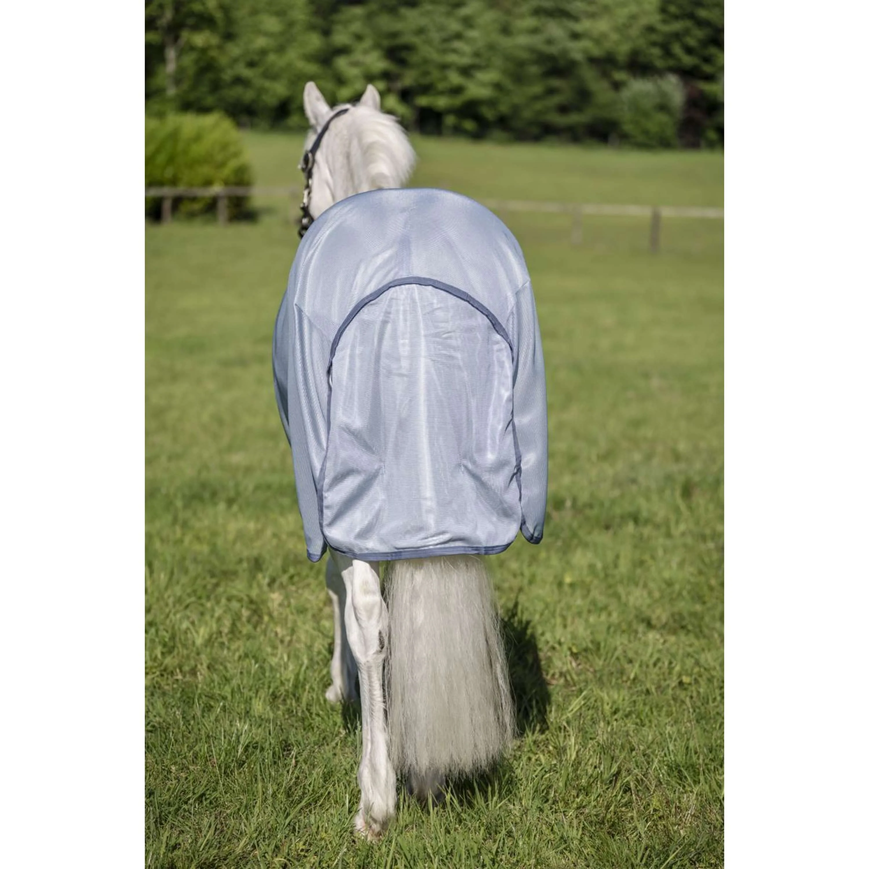 Amigo Couverture Anti-Mouches Pony Heather Blue/Blue/Silver - Image 4