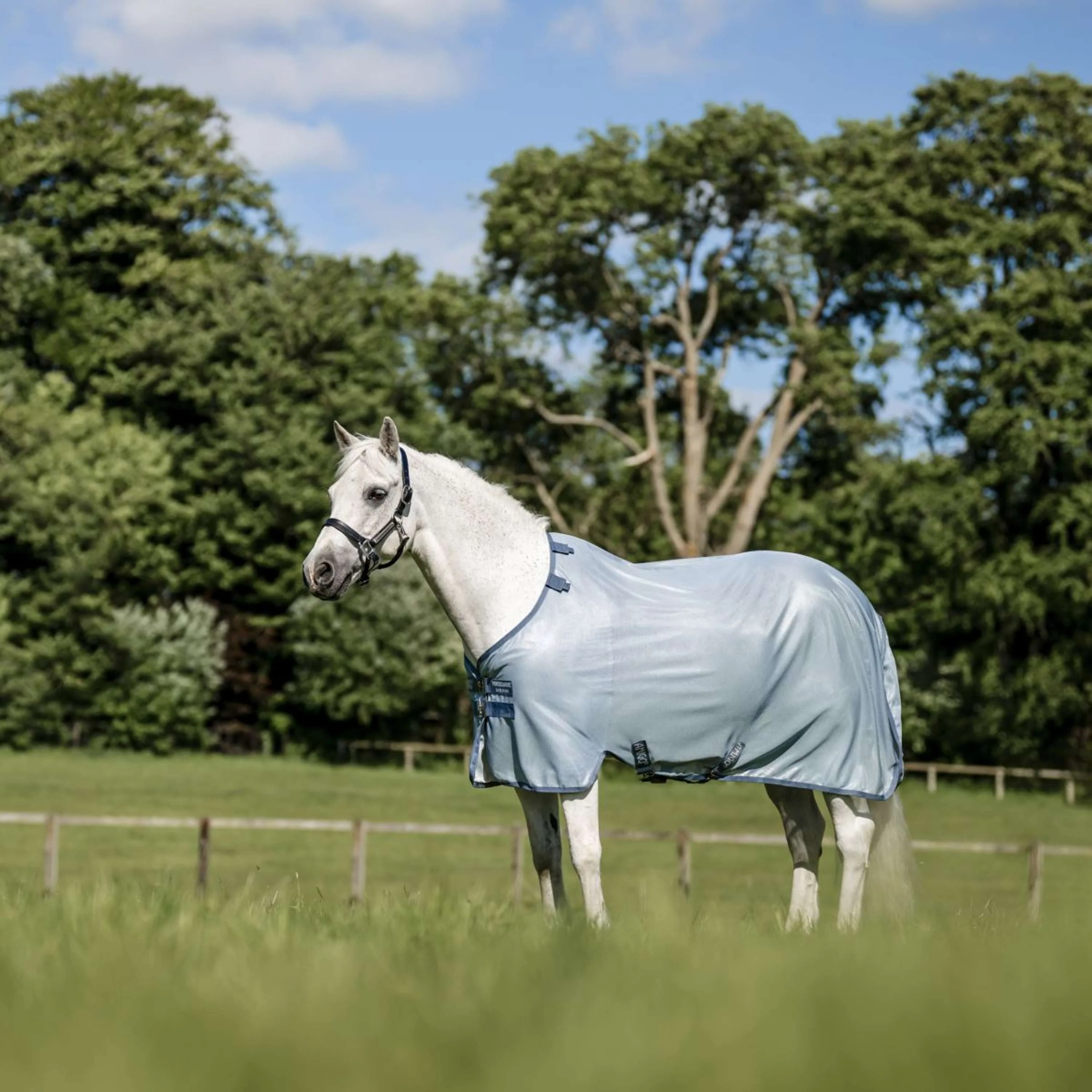 Amigo Couverture Anti-Mouches Pony Heather Blue/Blue/Silver - Image 7