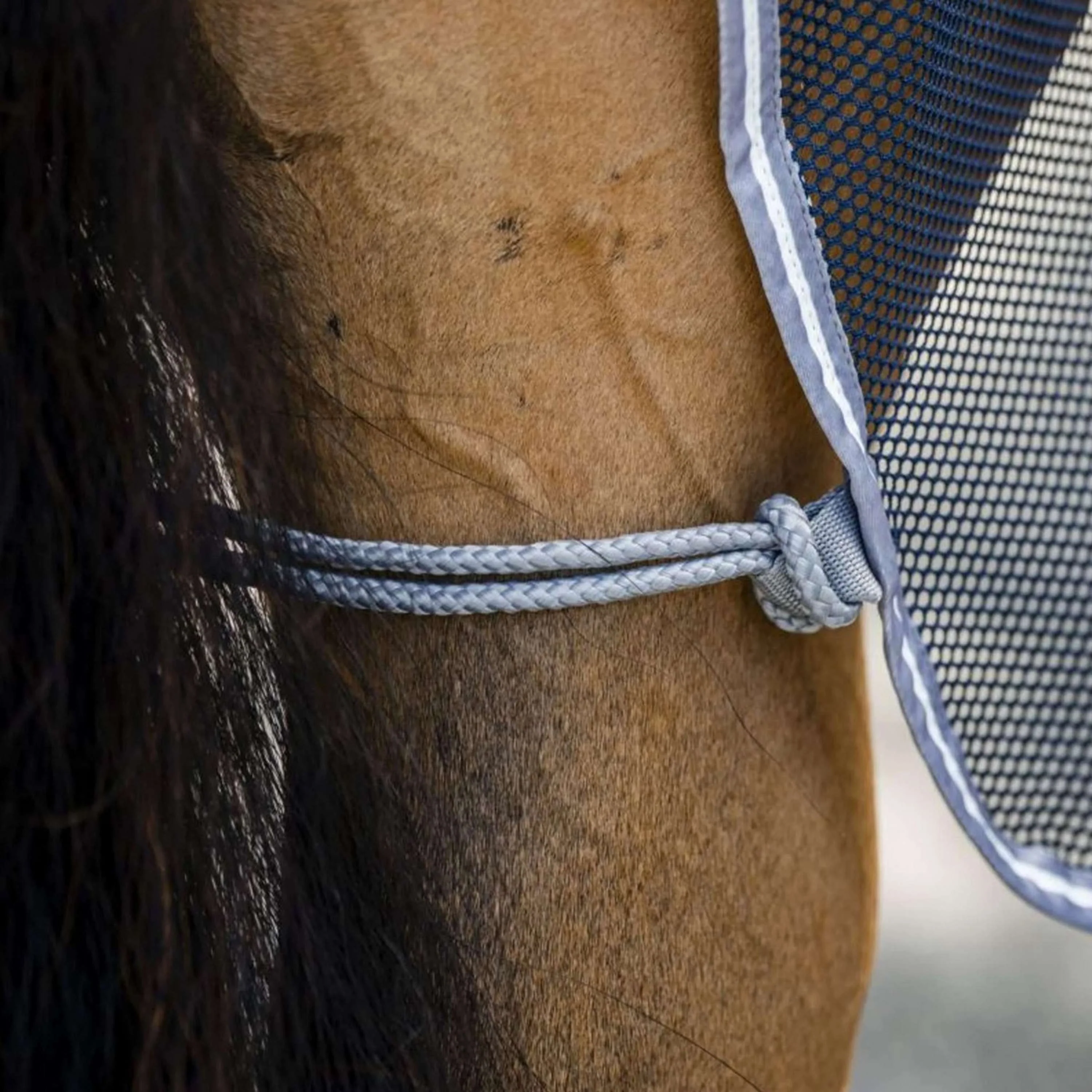 Amigo Net Cooler Marine/Gris Titane/Argent - Image 6