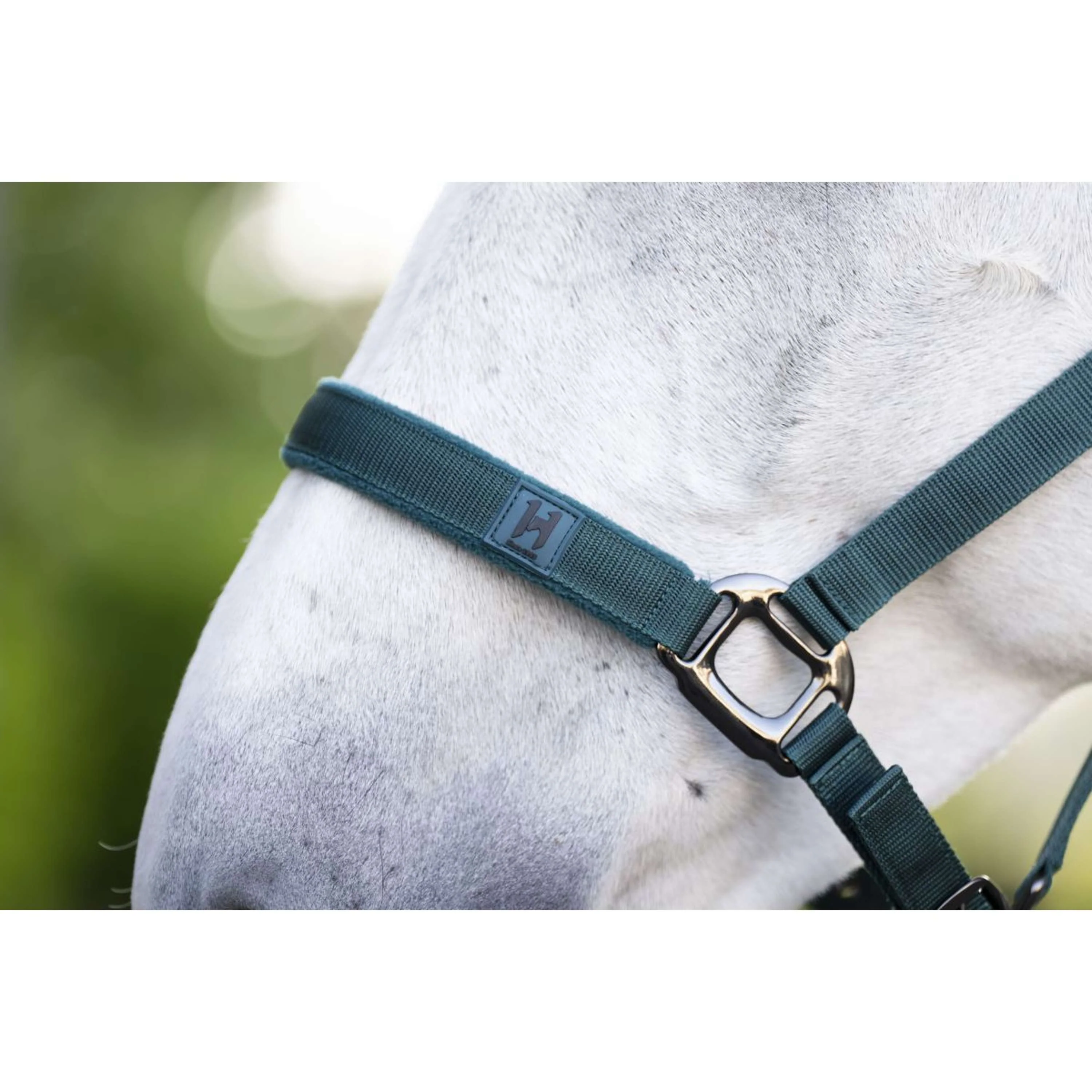 Amigo Licols et Longes Dynasty Green - Image 3