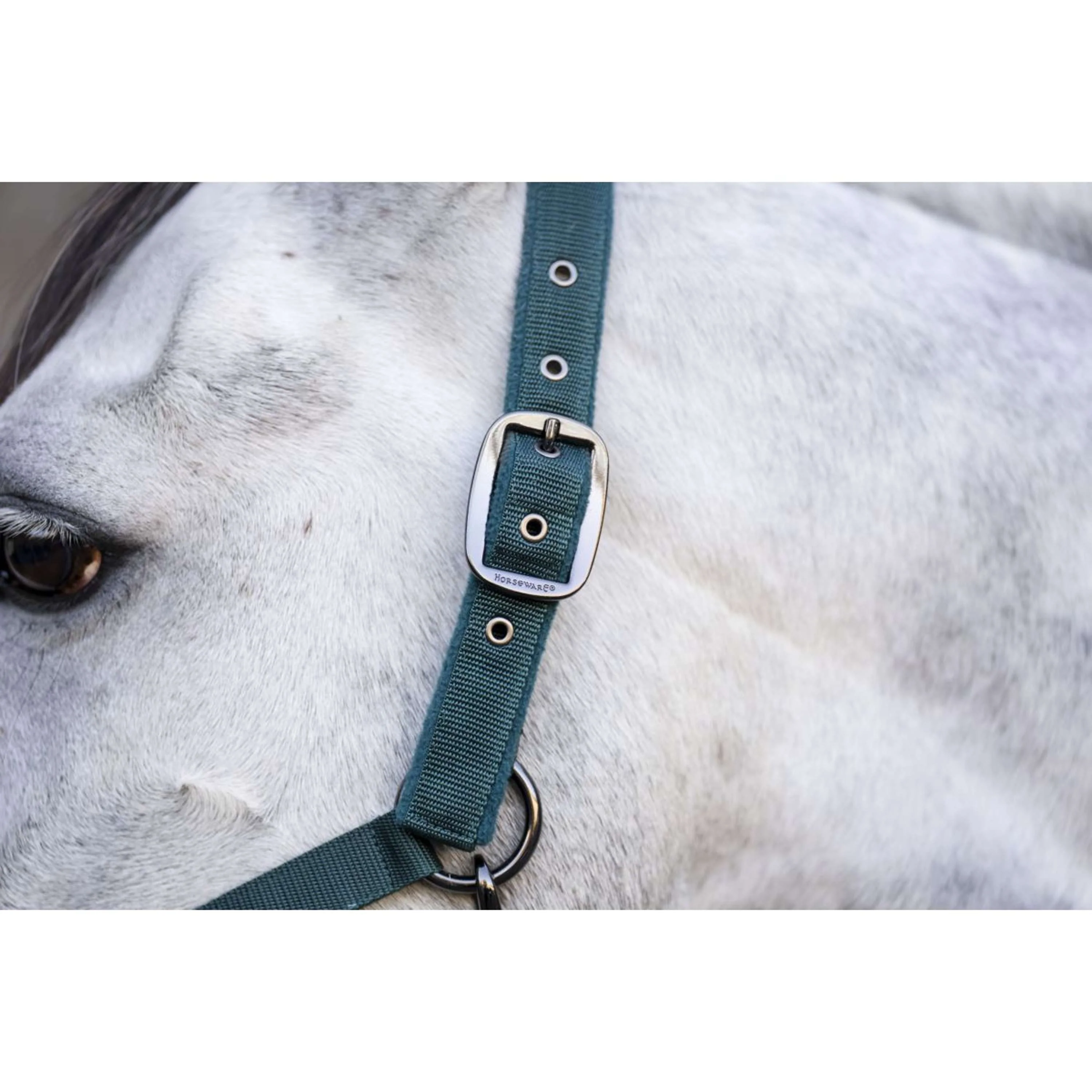 Amigo Licols et Longes Dynasty Green - Image 4