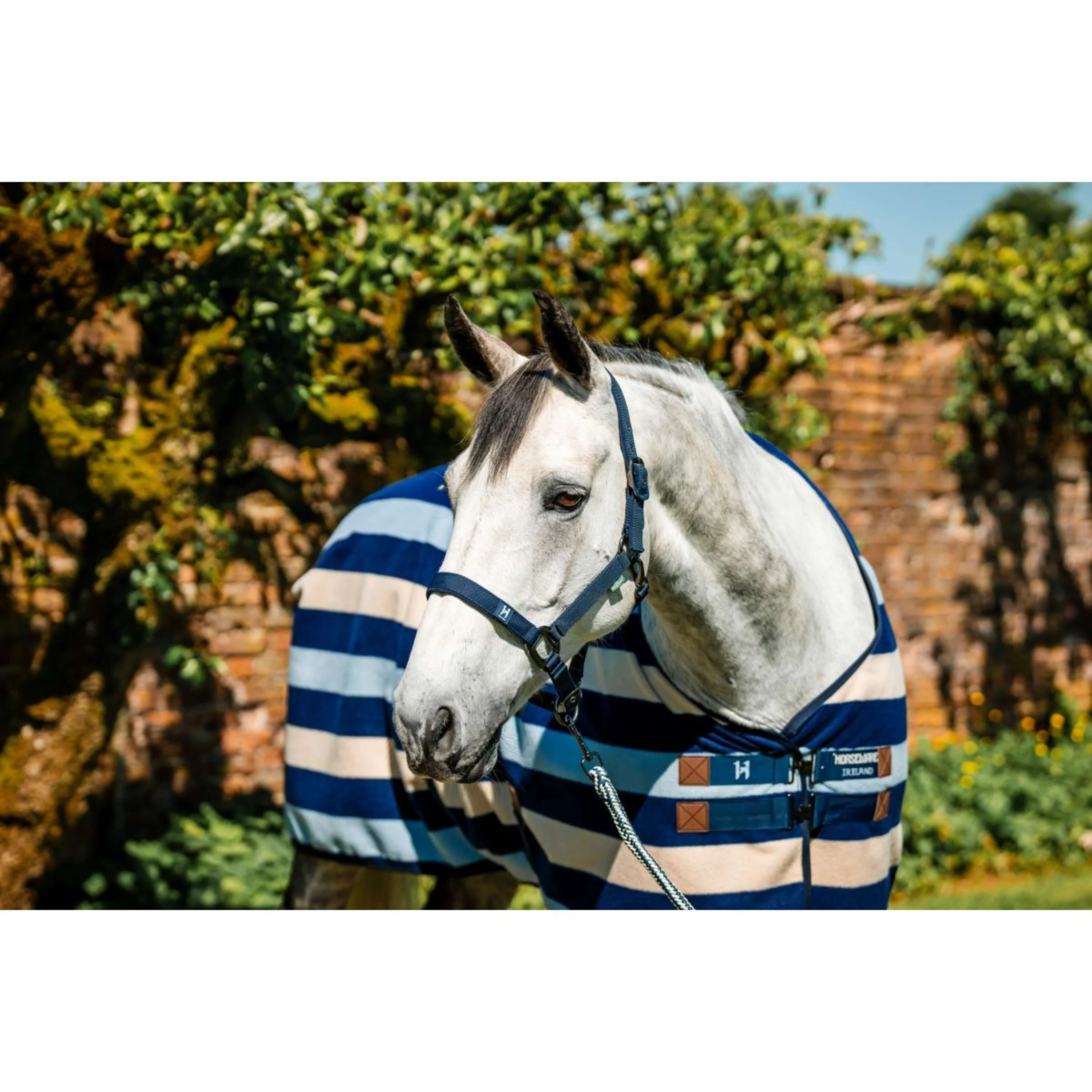 Amigo Licols et Longes Newmarket Witney Navy - Image 2