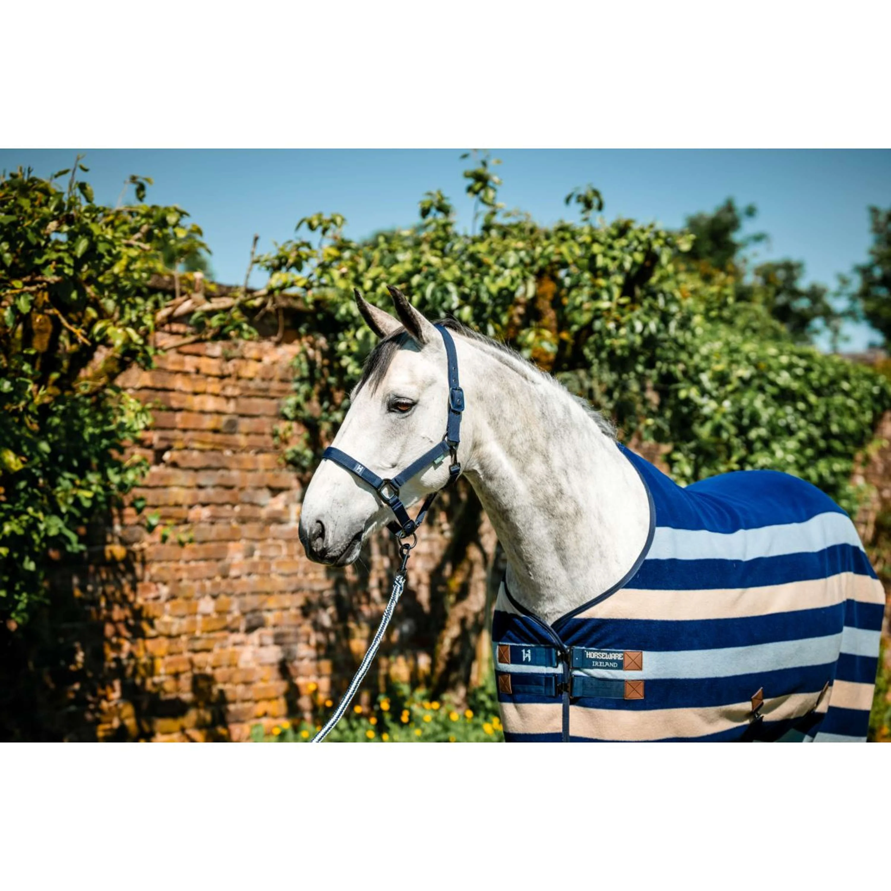 Amigo Licols et Longes Newmarket Witney Navy - Image 5