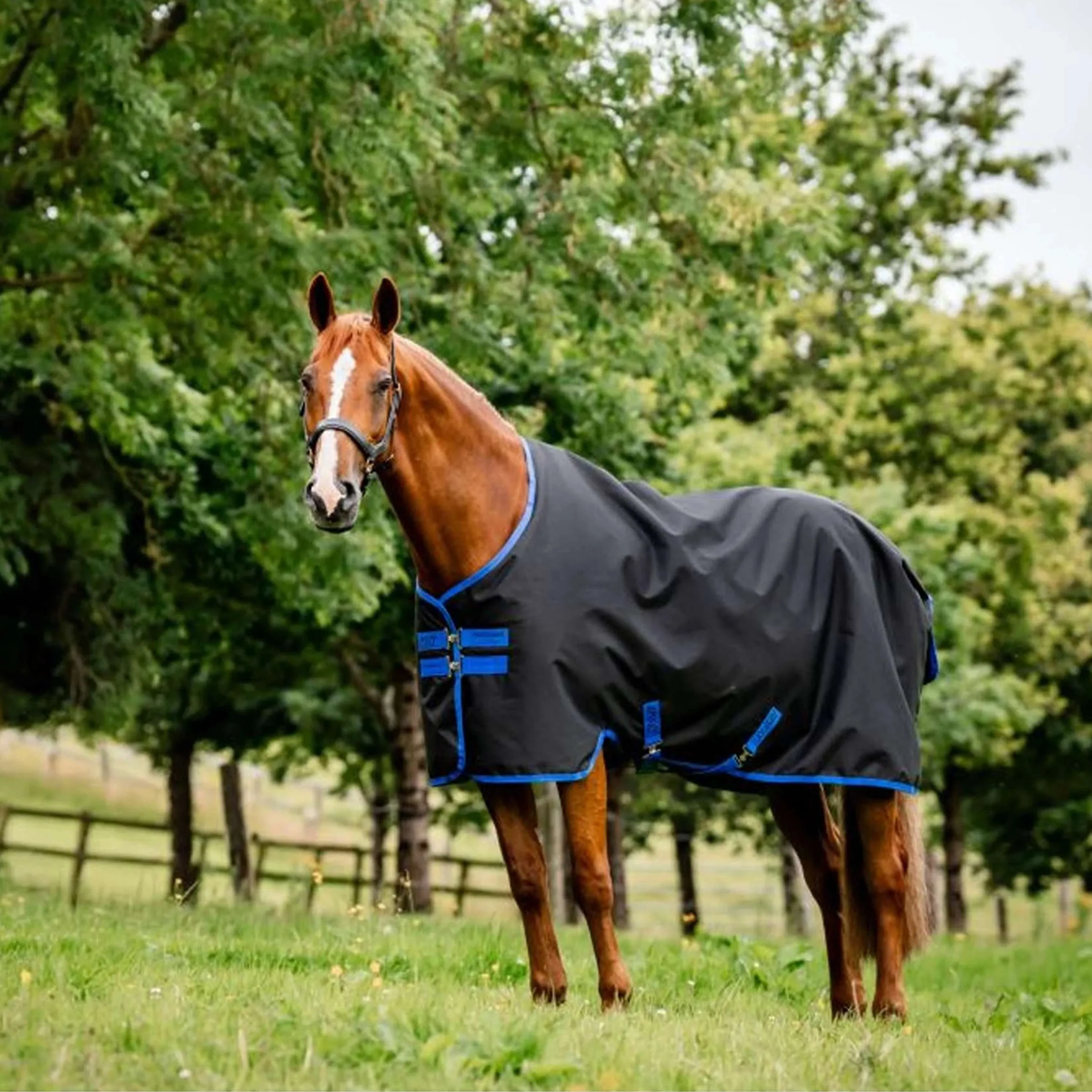 Amigo Ripstop 900 Original 50g Fleece Noir/Bleu - Image 3