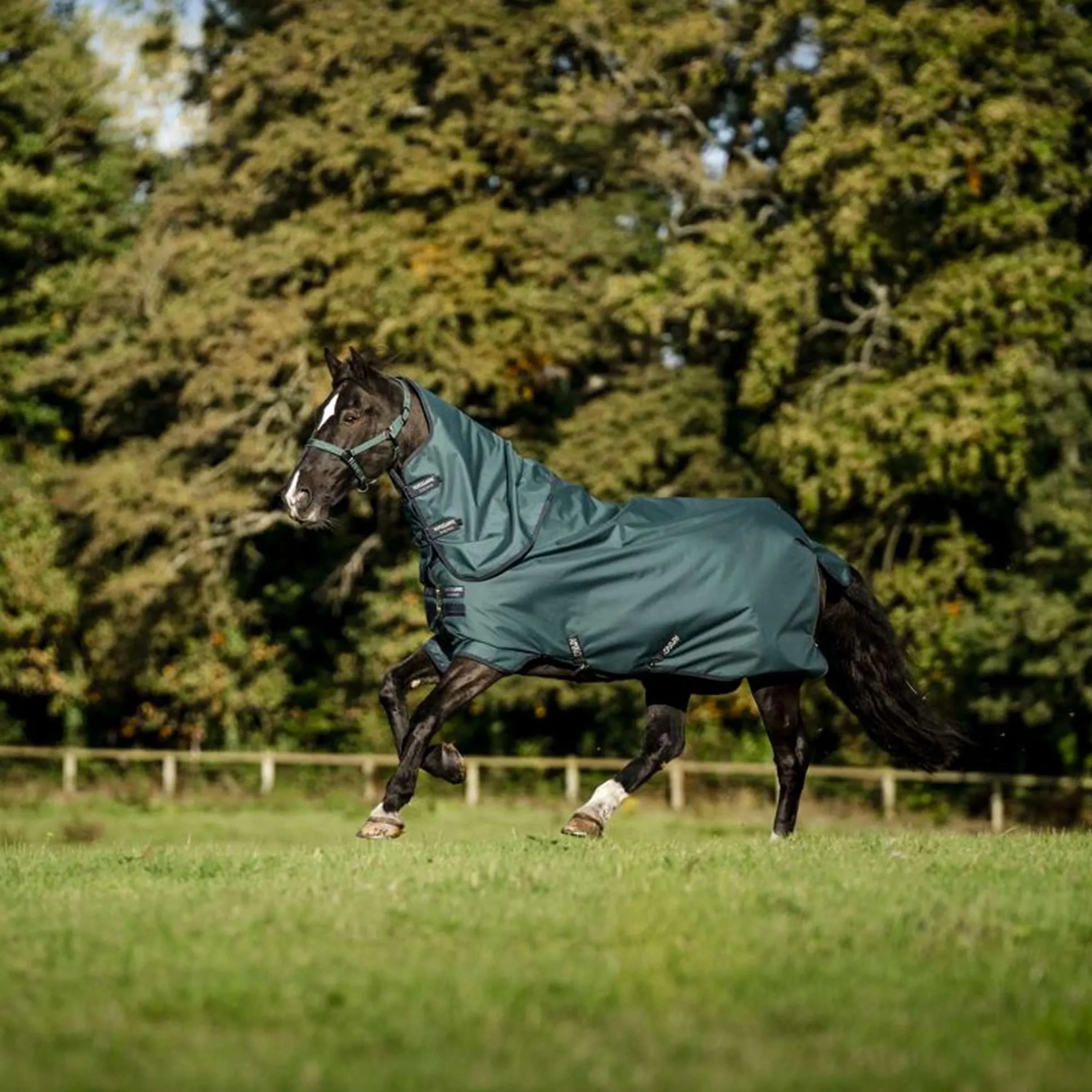 Amigo Ripstop 900D Plus Pony 0g Dynasty Green/Navy/Silver - Image 2