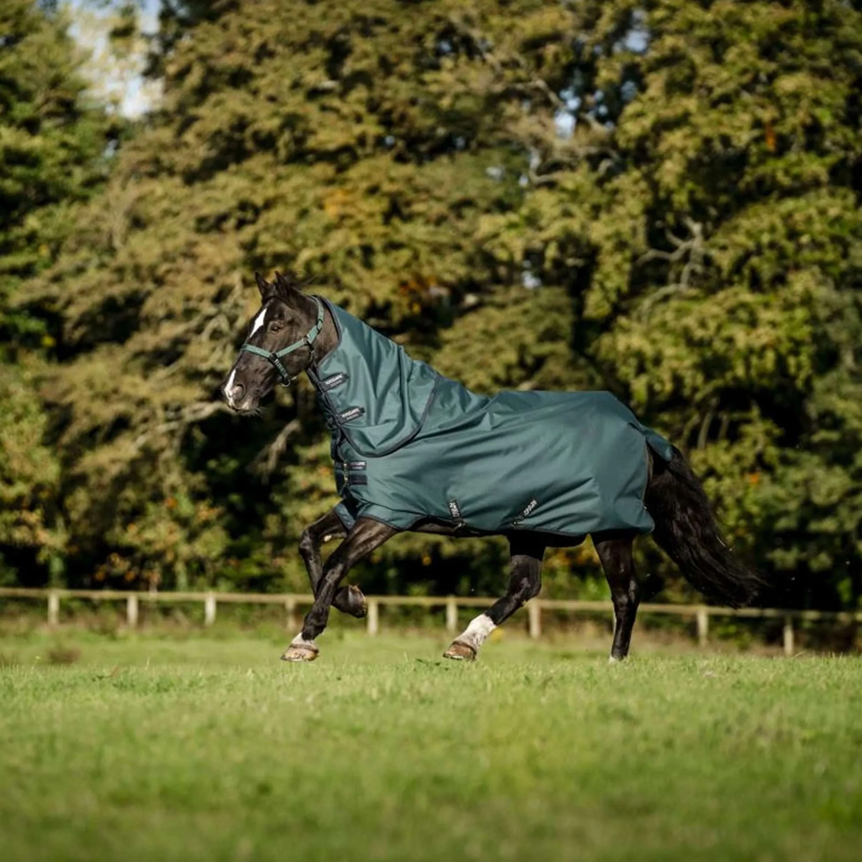 Amigo Ripstop 900D Plus Pony 200g Dynasty Green/Navy/Silver - Image 4