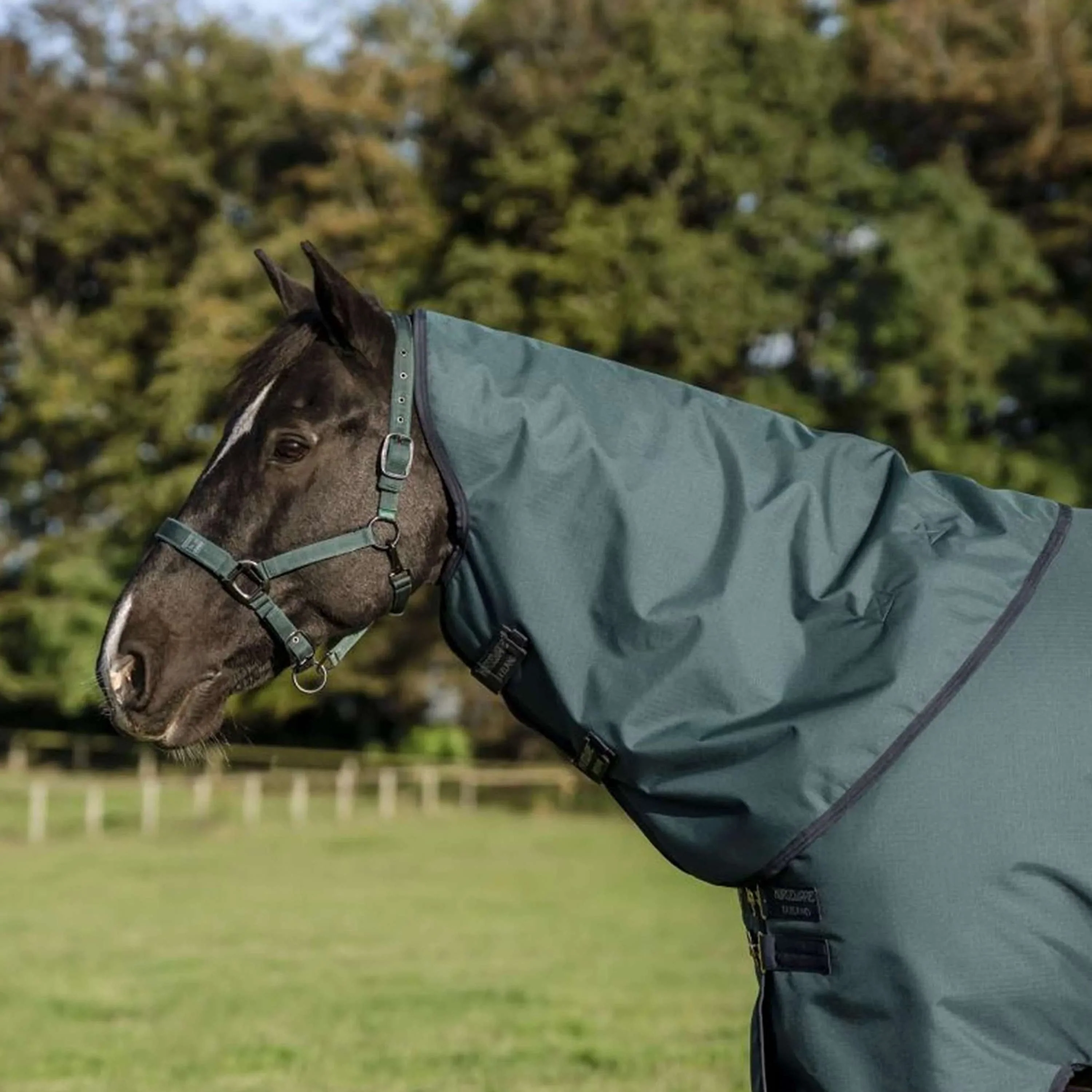 Amigo Ripstop 900D Plus Pony 200g Dynasty Green/Navy/Silver - Image 5