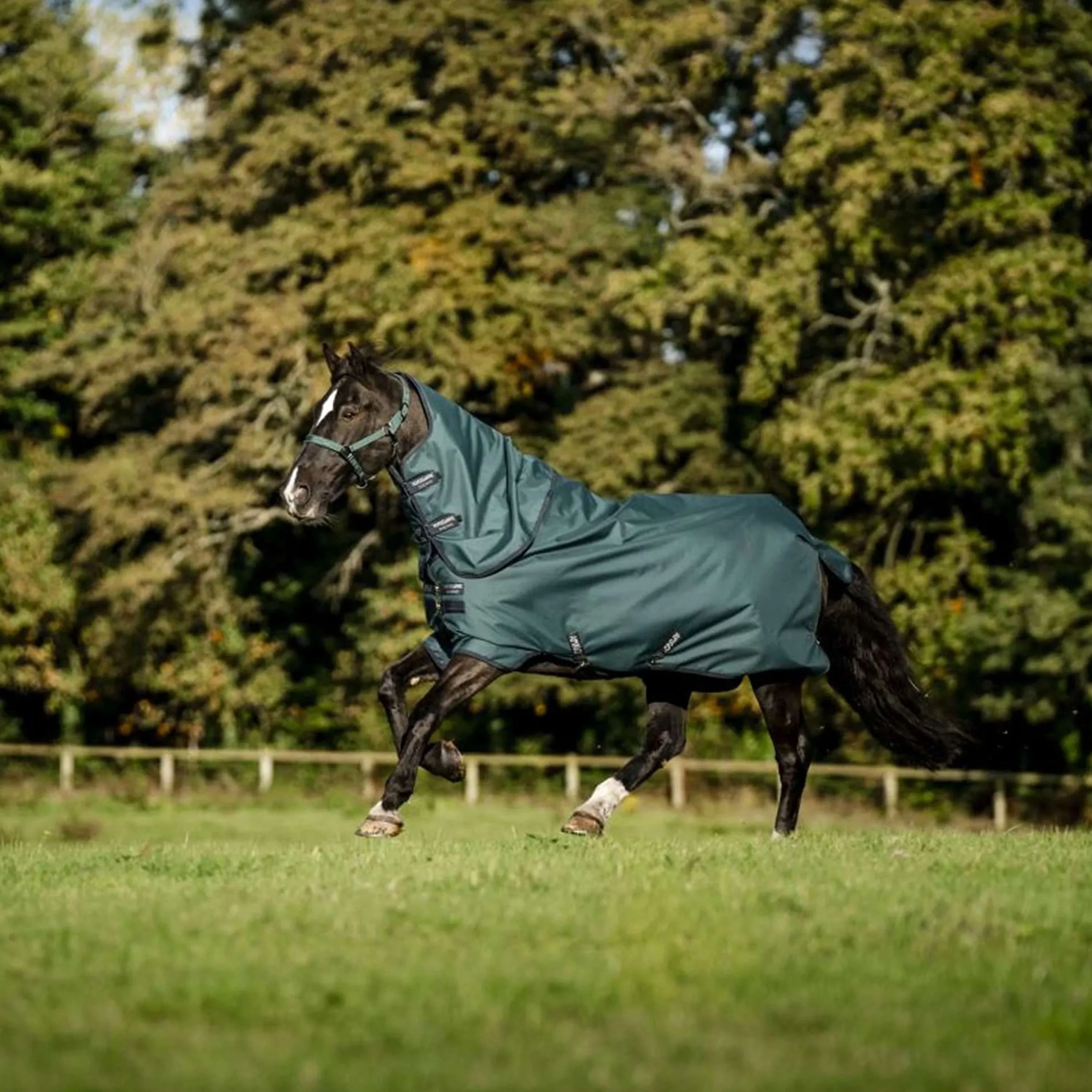 Amigo Ripstop 900D Plus Pony 50g Dynasty Green/Navy/Silver - Image 4