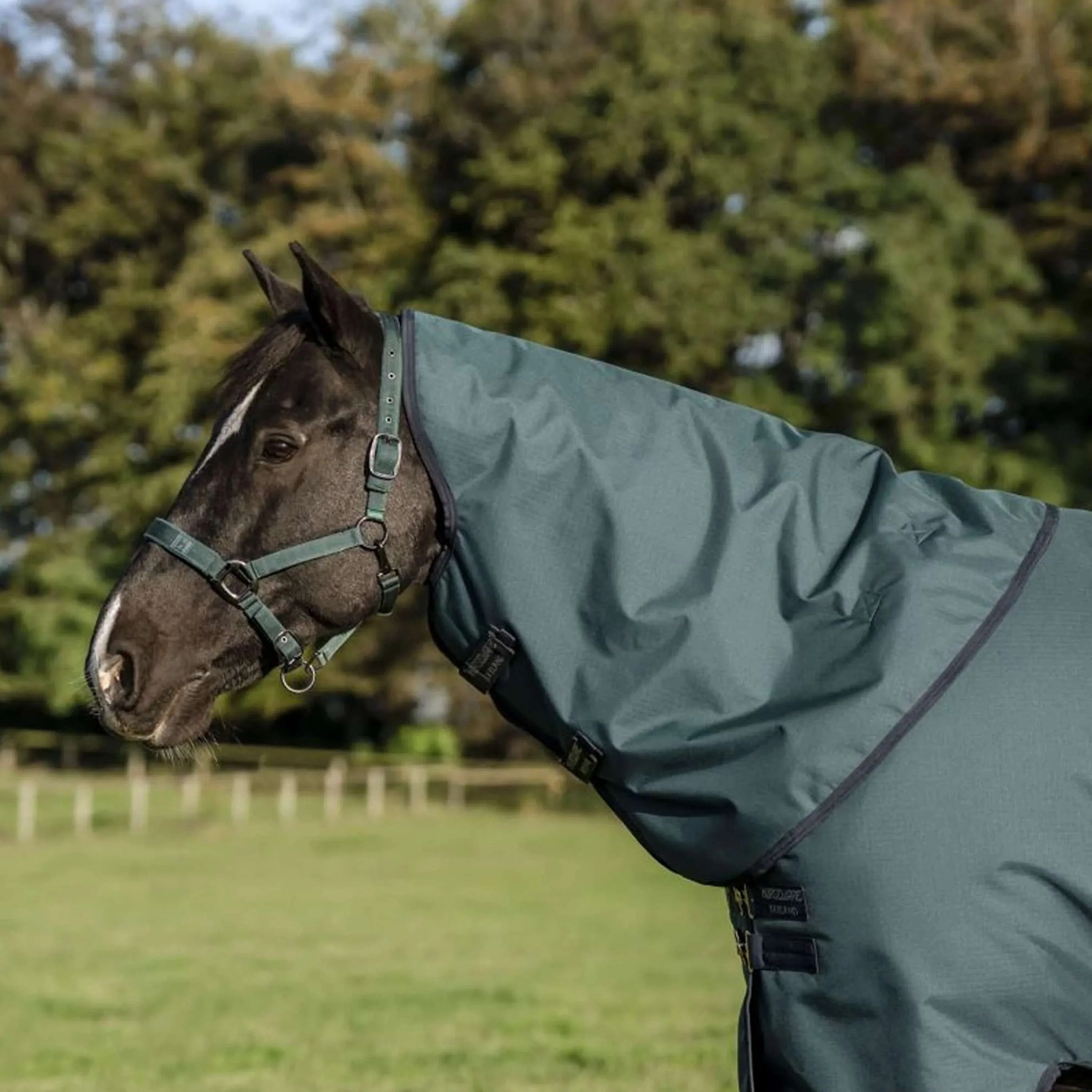 Amigo Ripstop 900D Plus Pony 50g Dynasty Green/Navy/Silver - Image 5