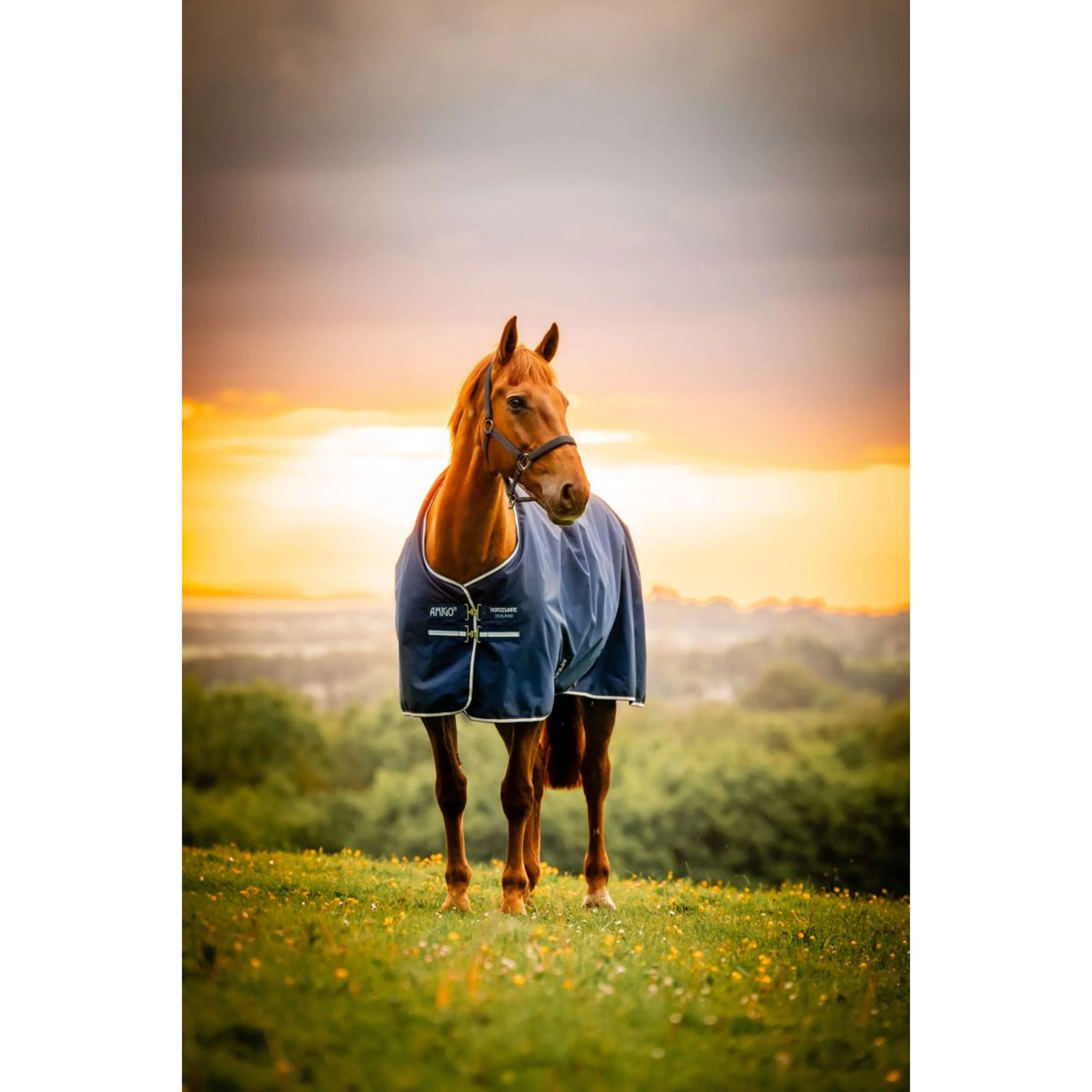 Amigo Ripstop 900D Pony 200g Witney Navy - Image 6