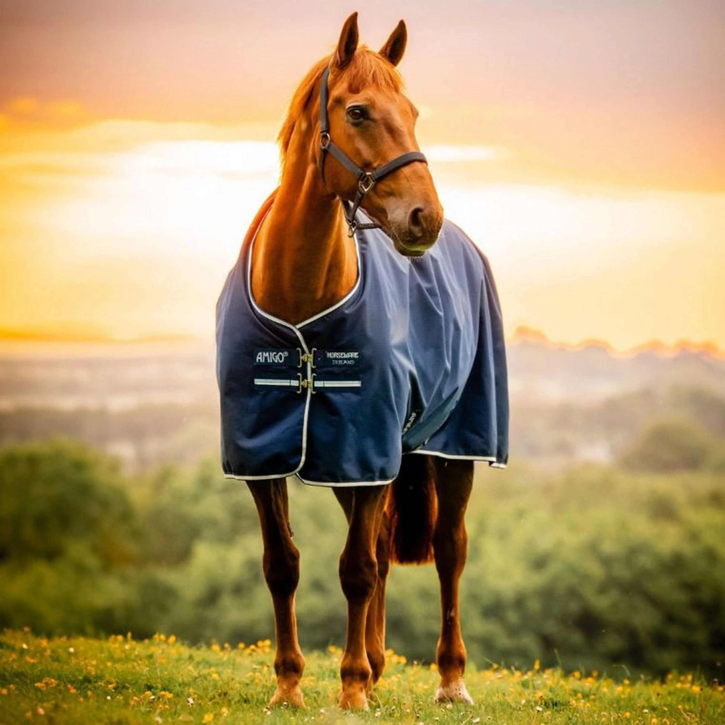 Amigo Ripstop 900D Pony 50g Witney Navy - Image 3
