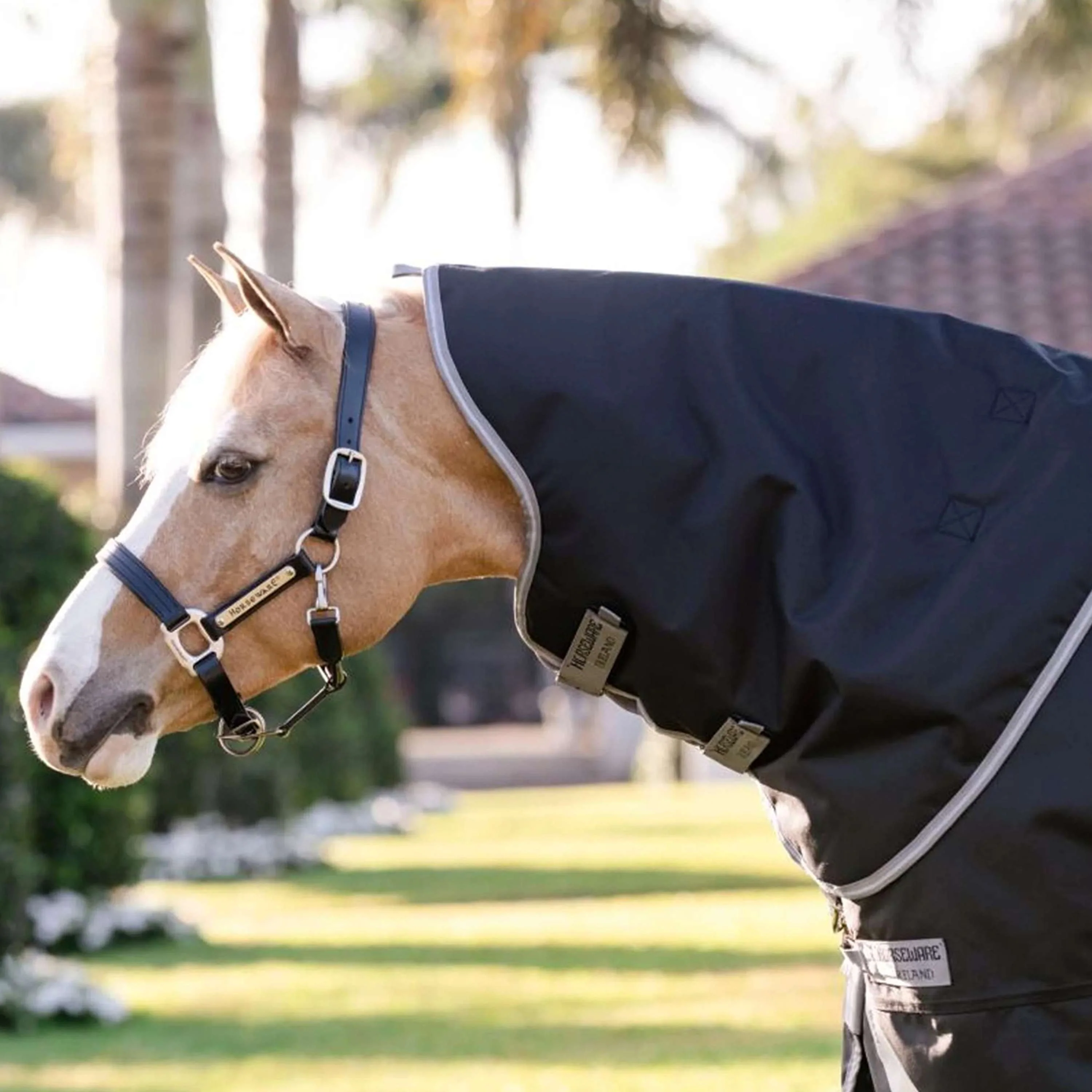 Amigo Chemise Turnout 1200D Plus Pony 0g Noir/Gris Titane/Argent - Image 2